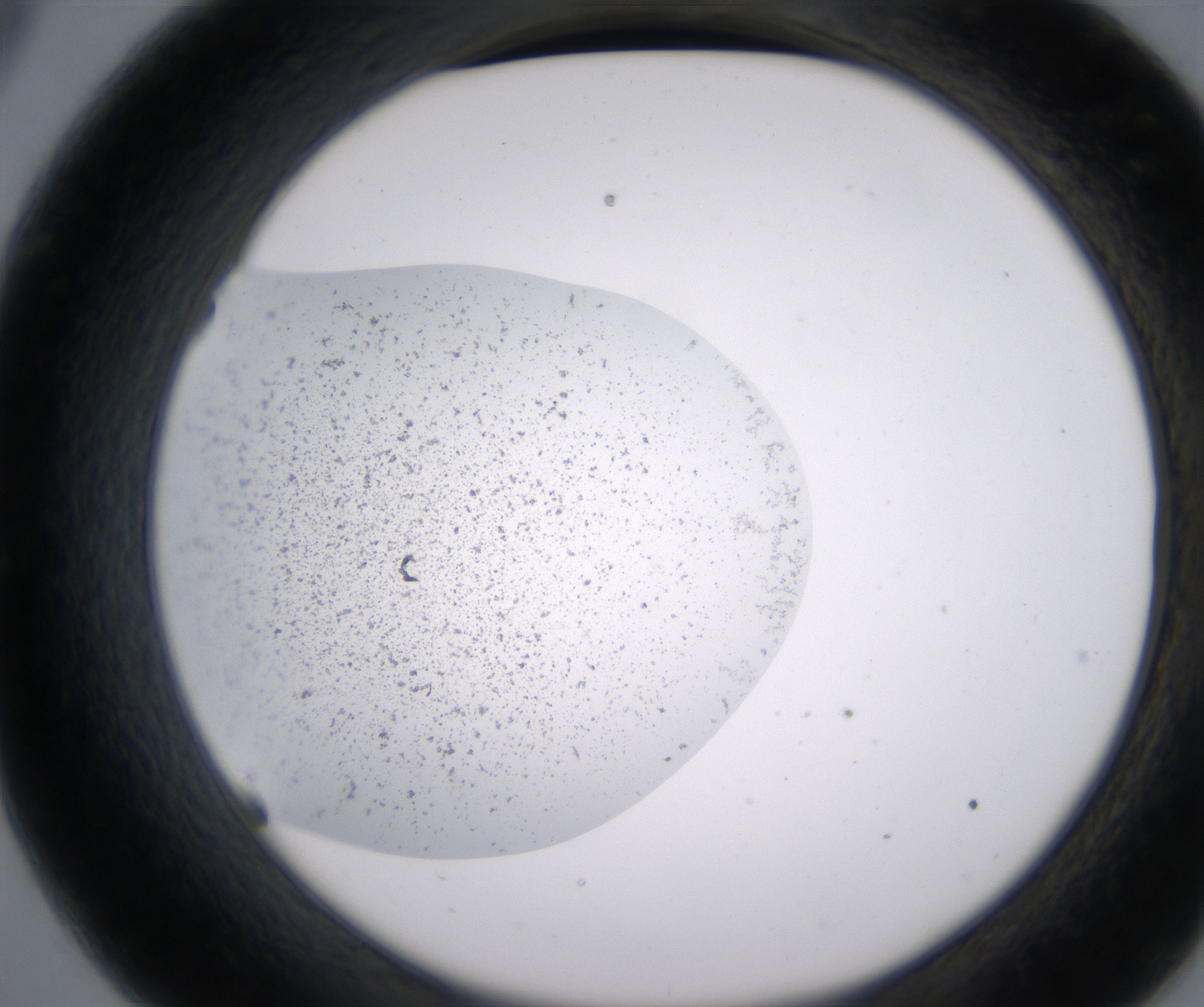 C9_HighResolution_Precipitate_2.jpg