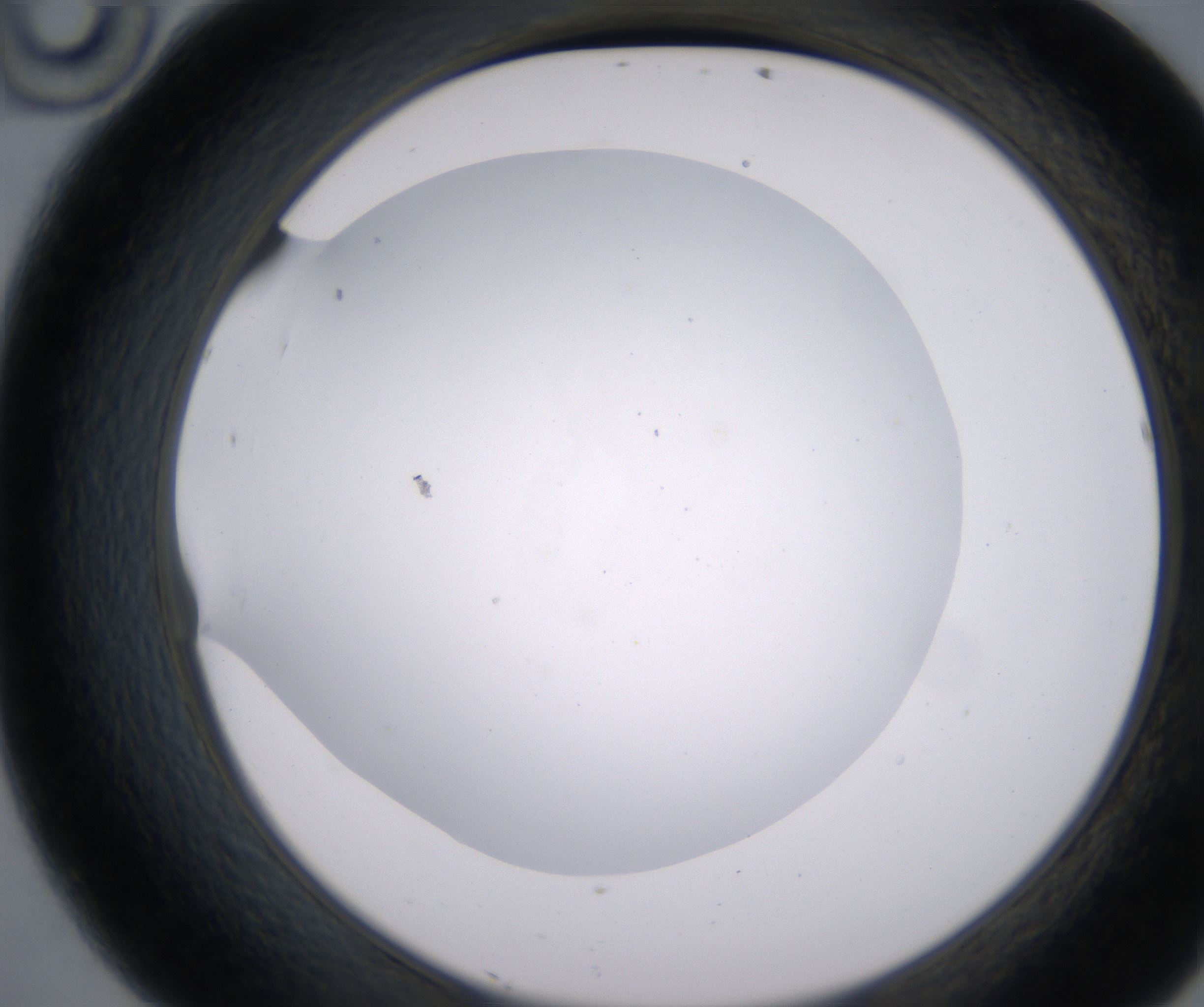 D10_HighResolution_Clear_2.jpg