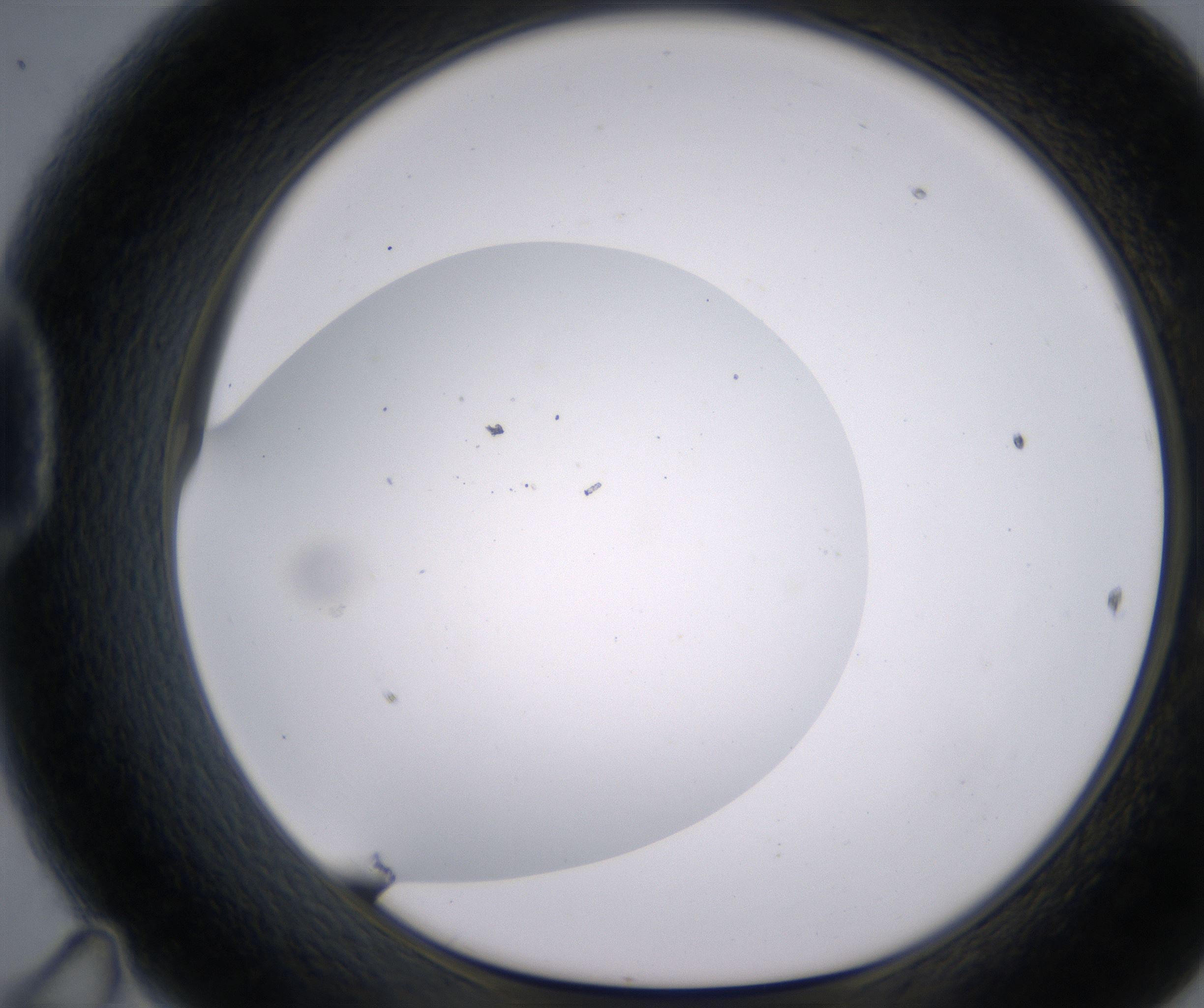 D11_HighResolution_Clear_1.jpg