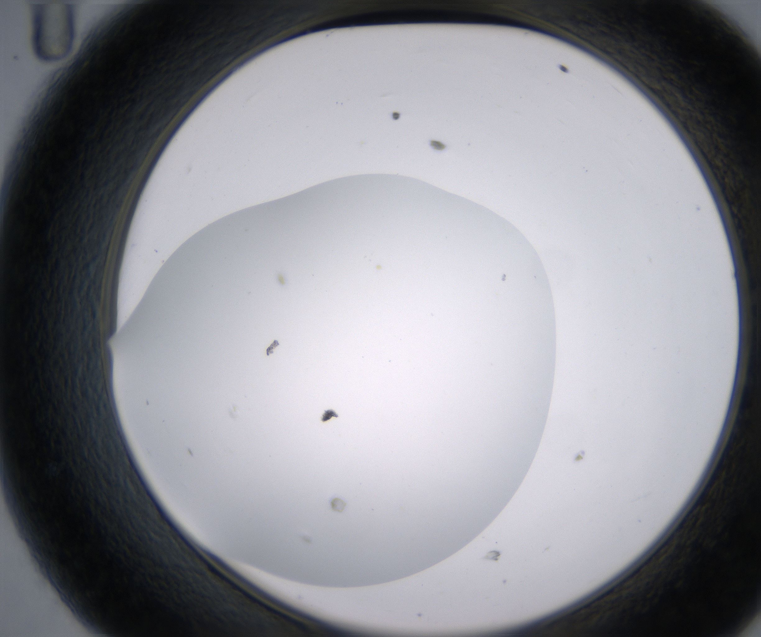 D11_HighResolution_Clear_2.jpg