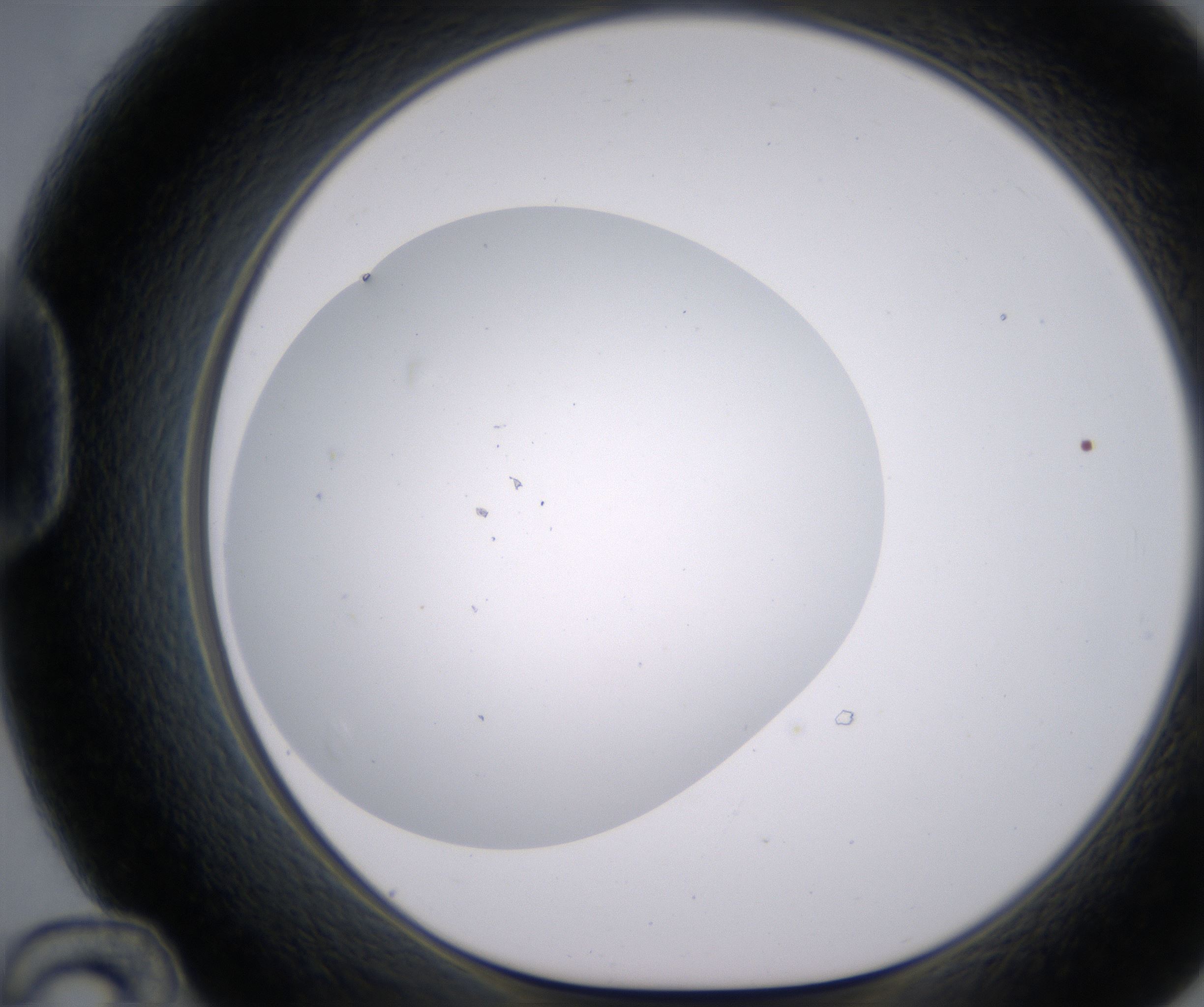 D12_HighResolution_Clear_1.jpg
