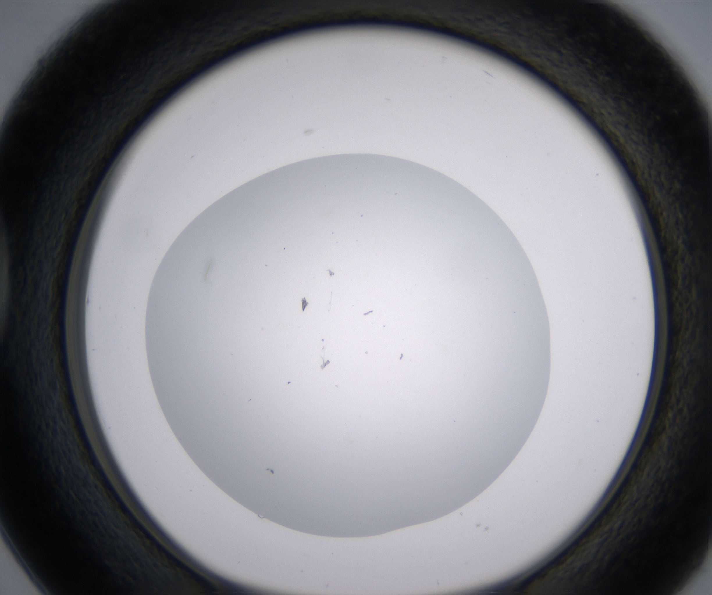 D2_HighResolution_Clear_1.jpg
