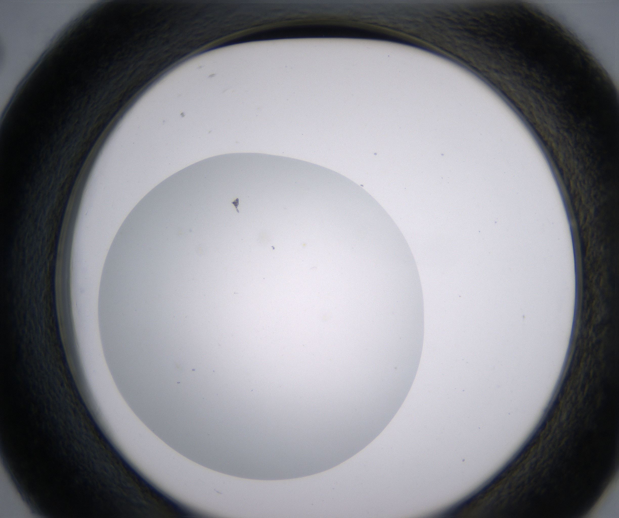 D2_HighResolution_Clear_2.jpg