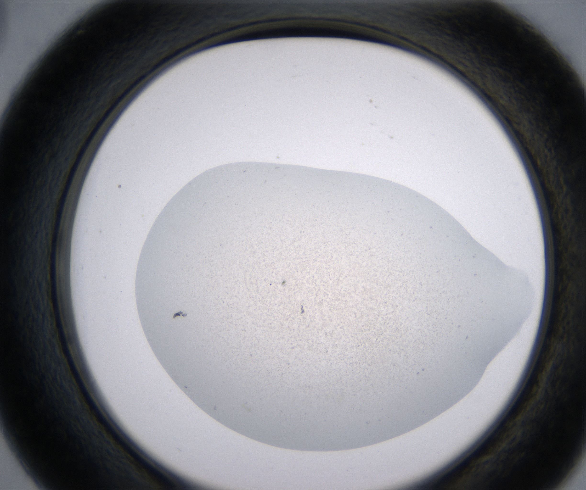 D3_HighResolution_Precipitate_2.jpg