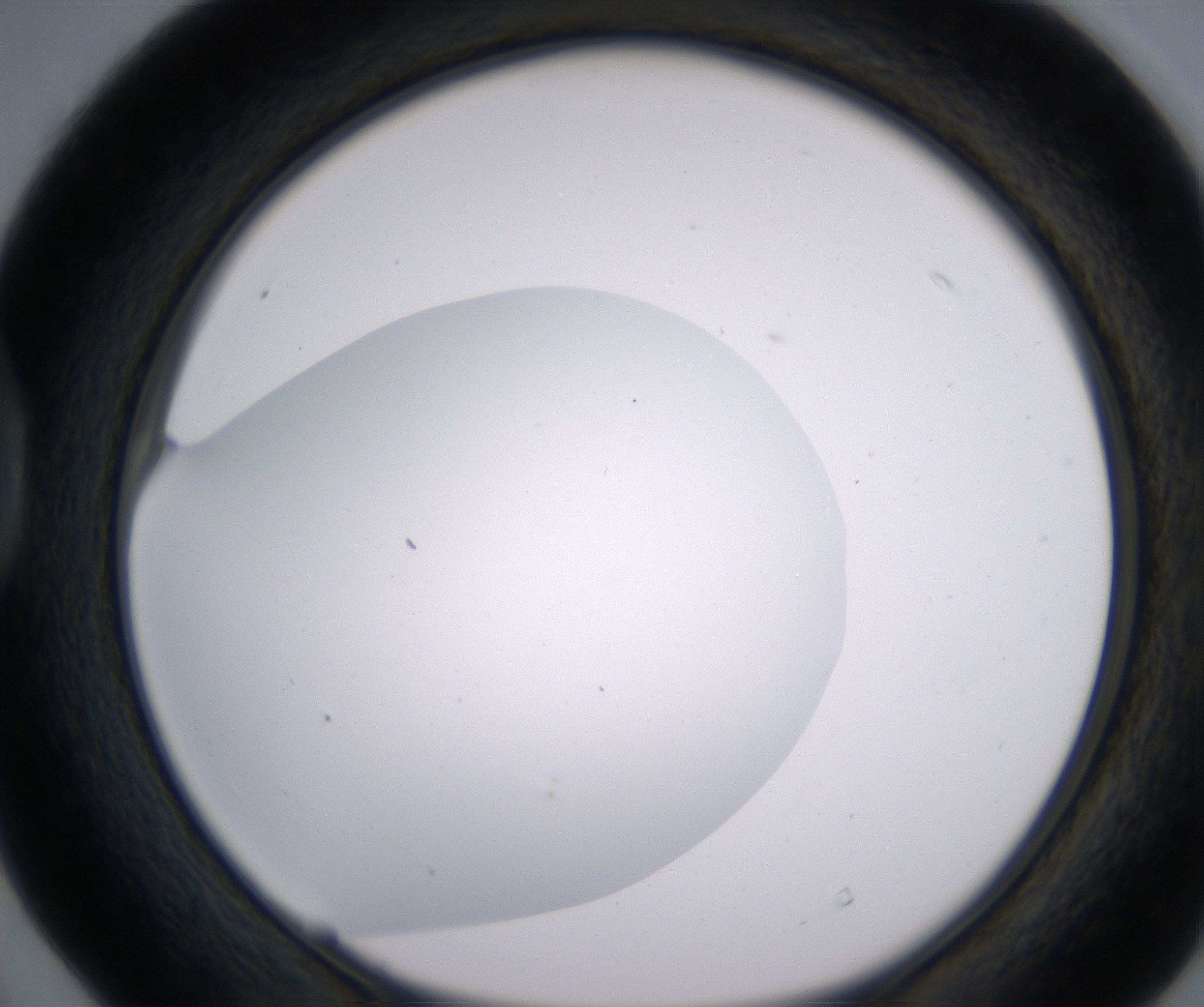 D4_HighResolution_Clear_1.jpg