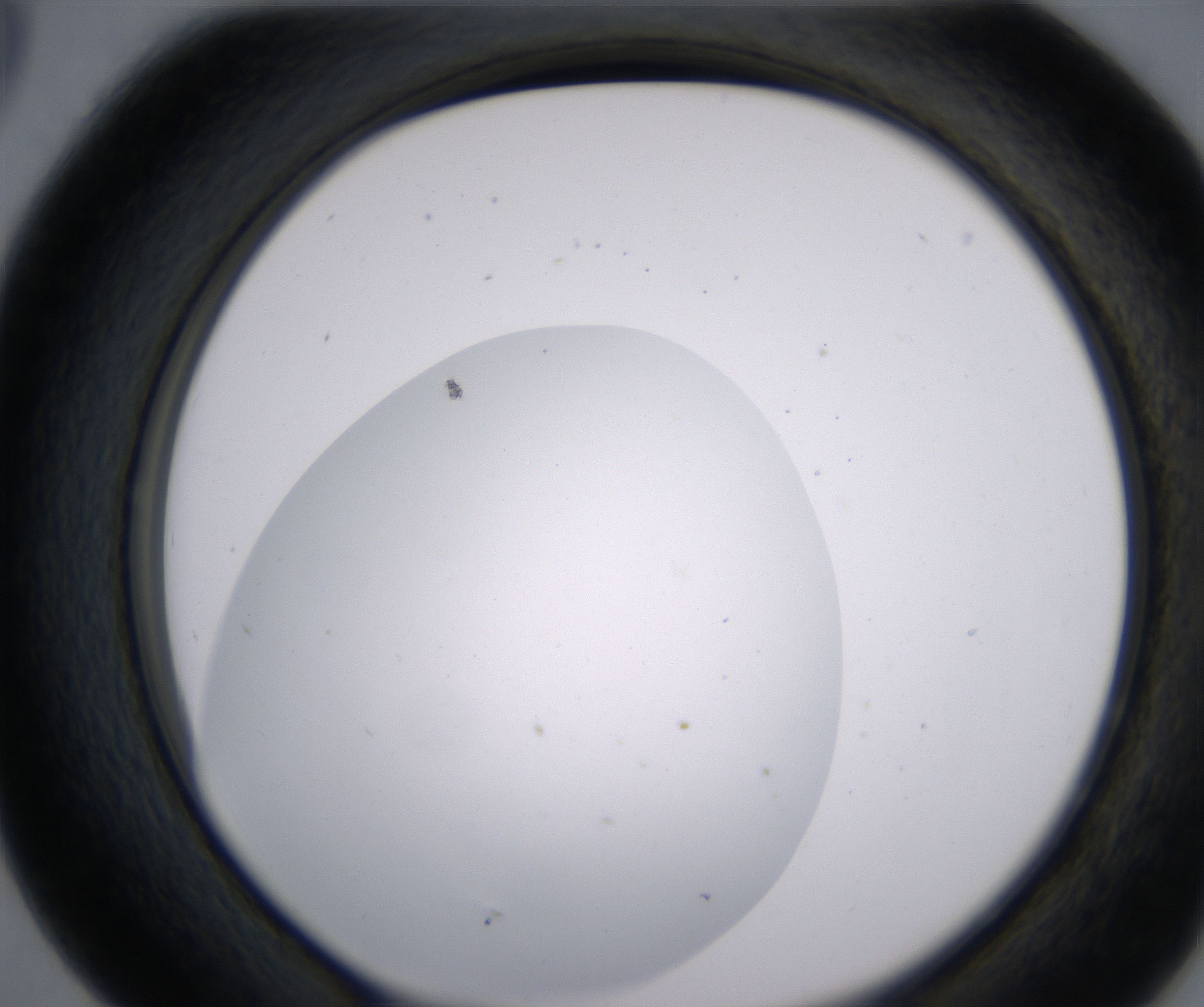 D5_HighResolution_Clear_2.jpg