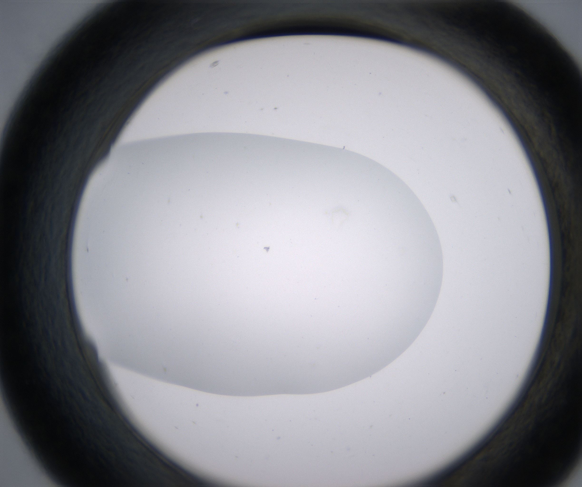 D7_HighResolution_Clear_2.jpg