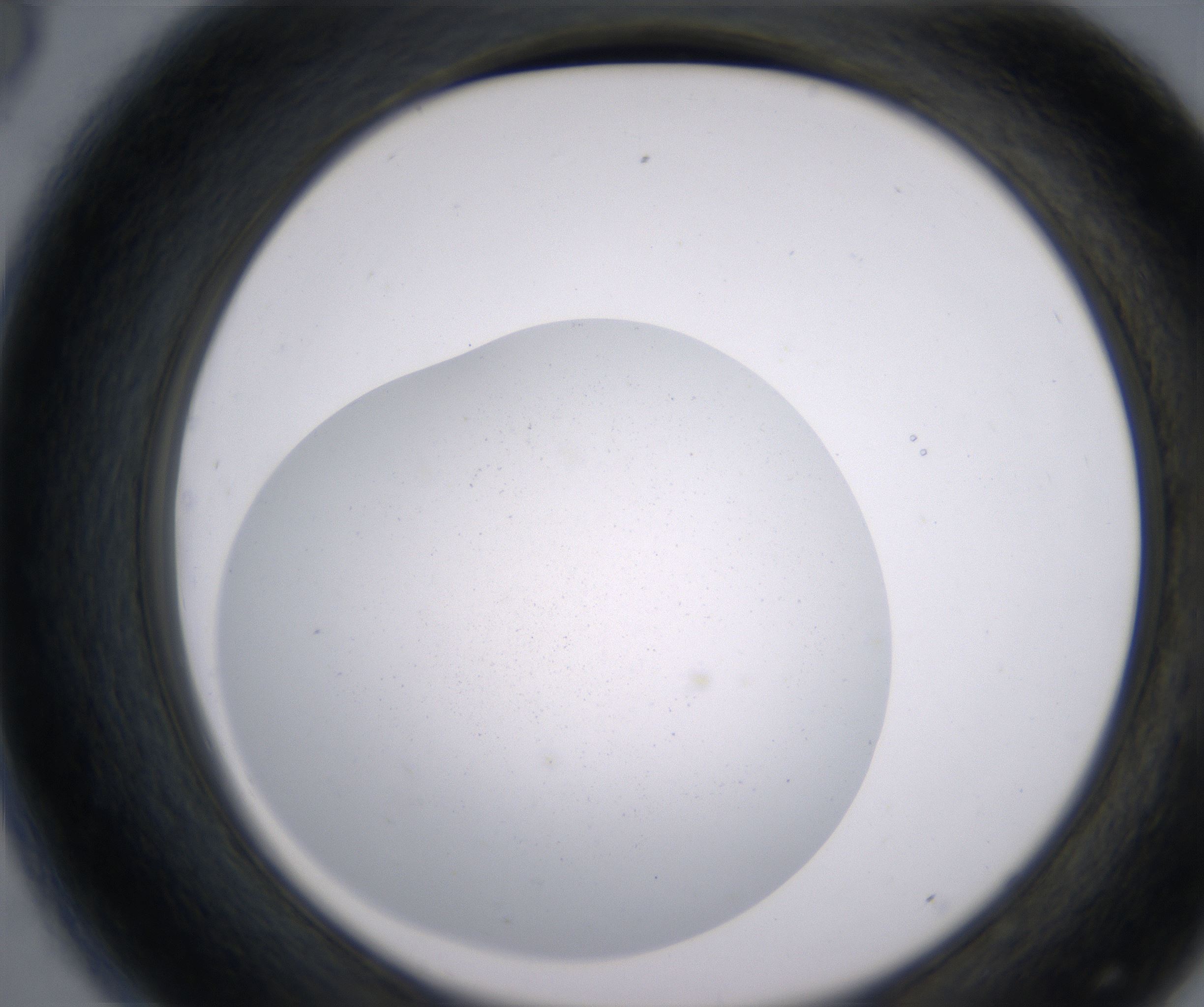 D8_HighResolution_Precipitate_2.jpg