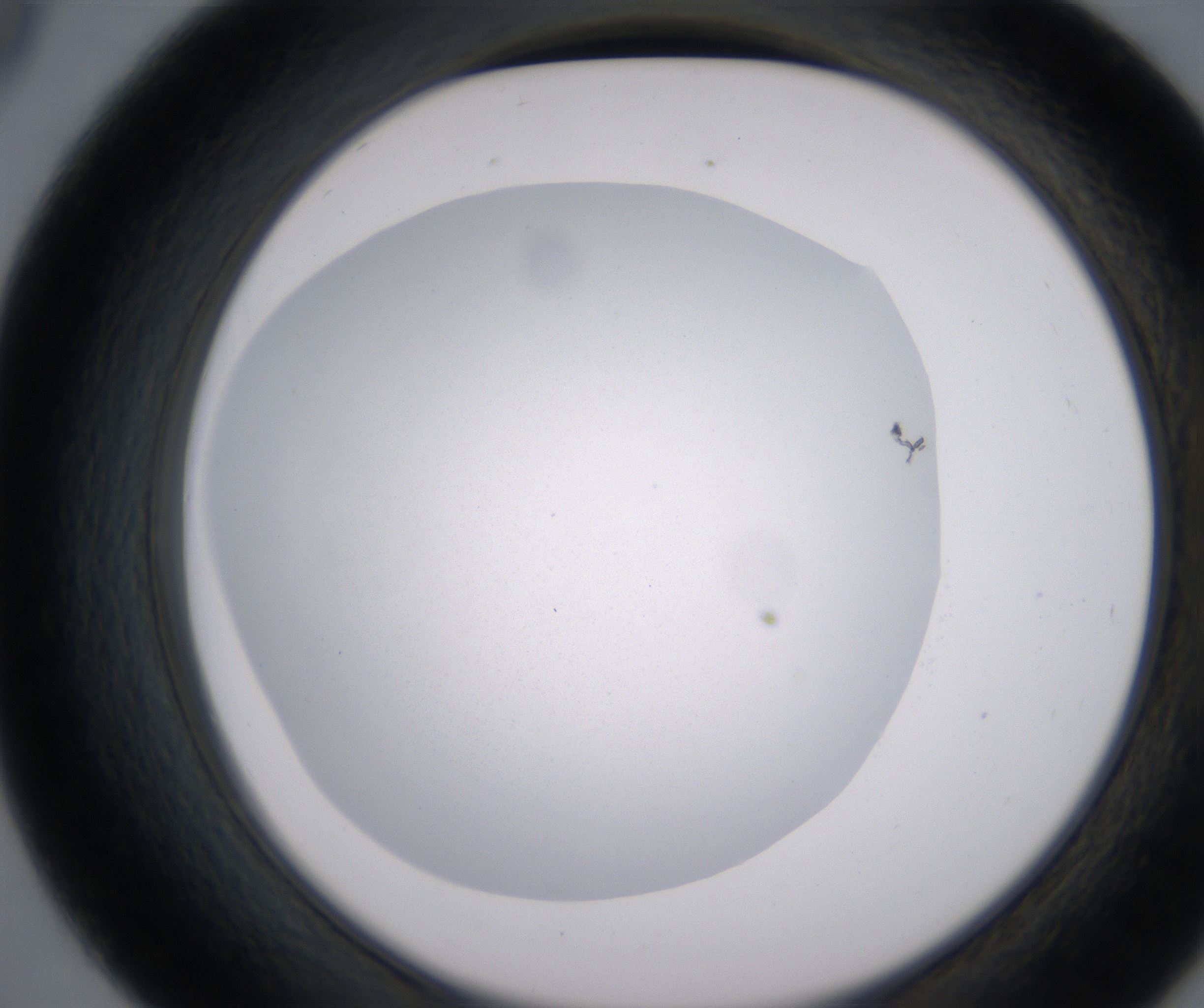 D9_HighResolution_Clear_2.jpg