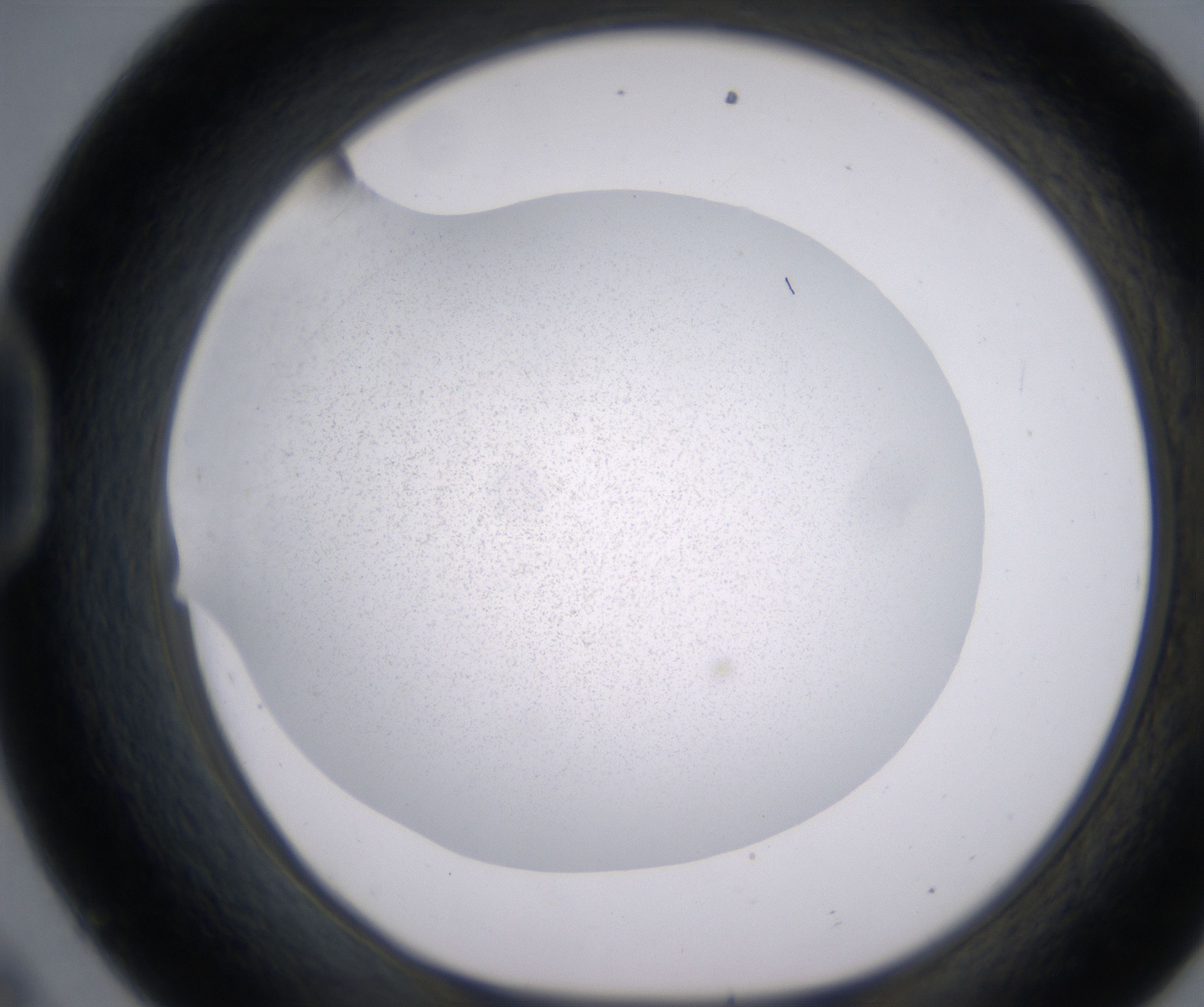 D9_HighResolution_Precipitate_1.jpg