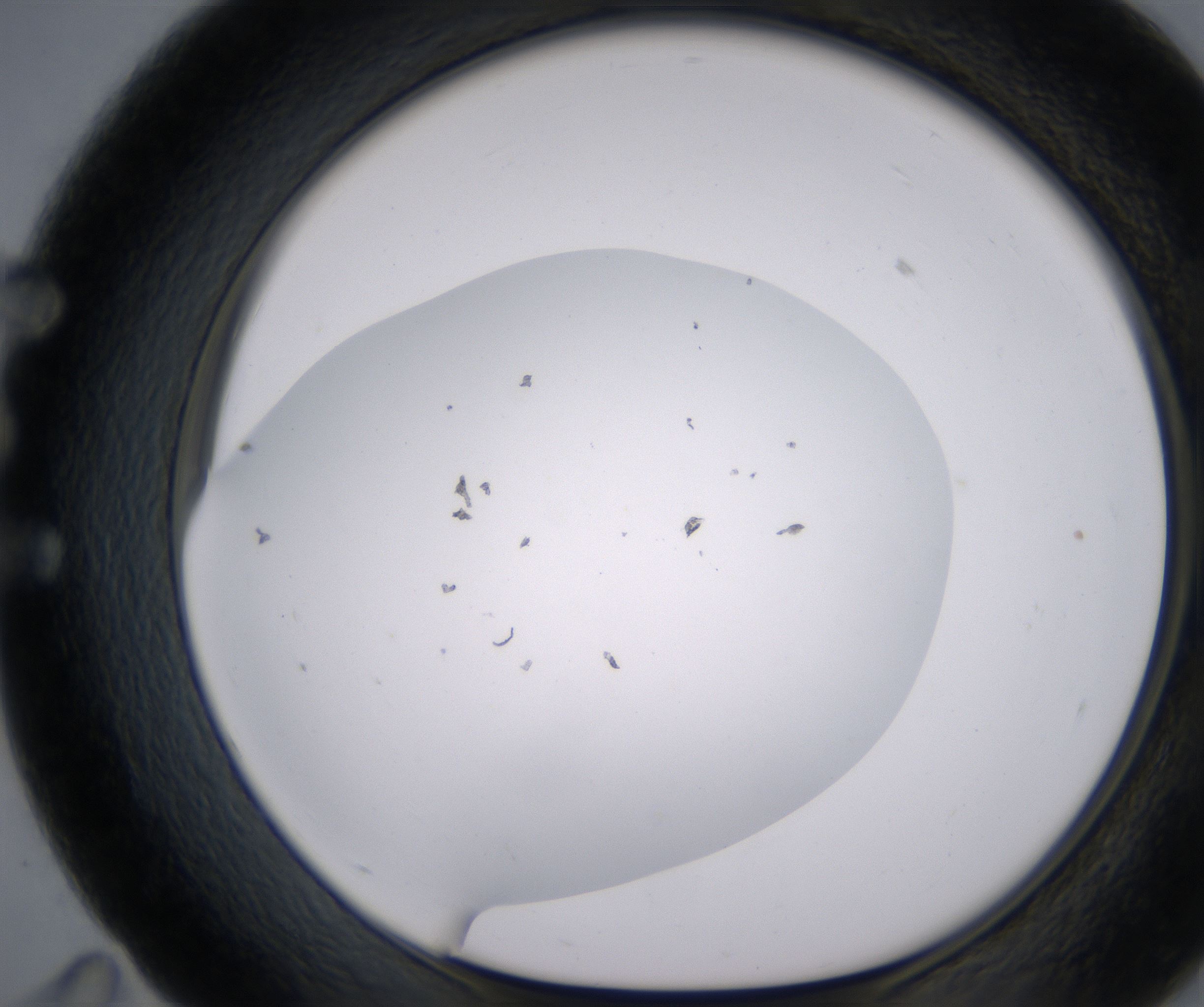 E11_HighResolution_Clear_1.jpg