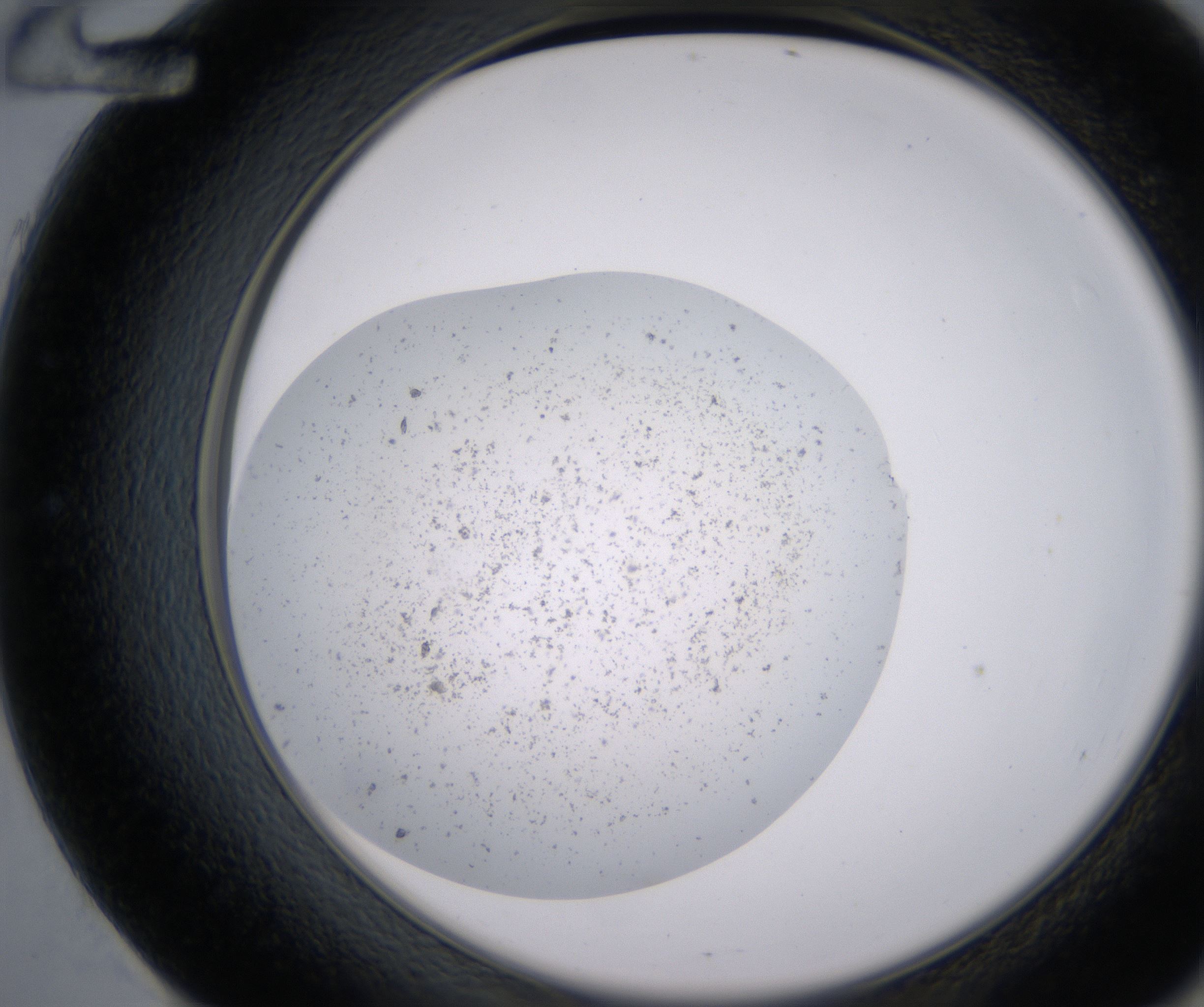 E12_HighResolution_Precipitate_2.jpg