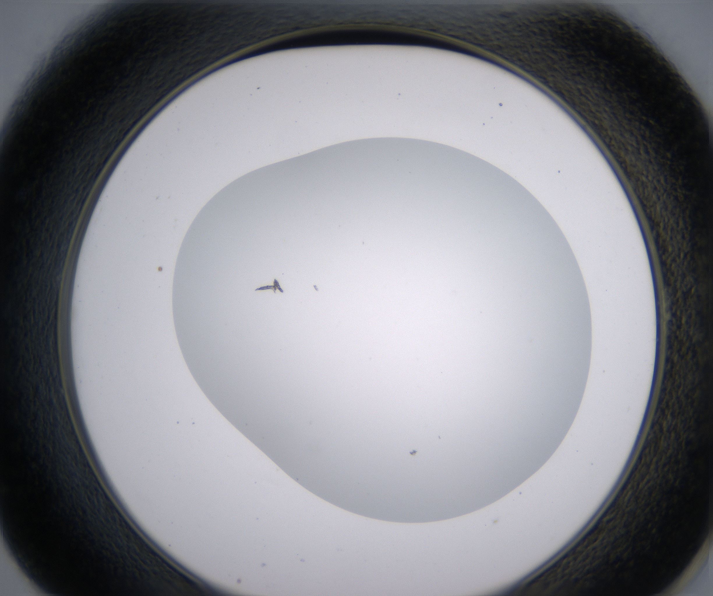 E1_HighResolution_Clear_2.jpg