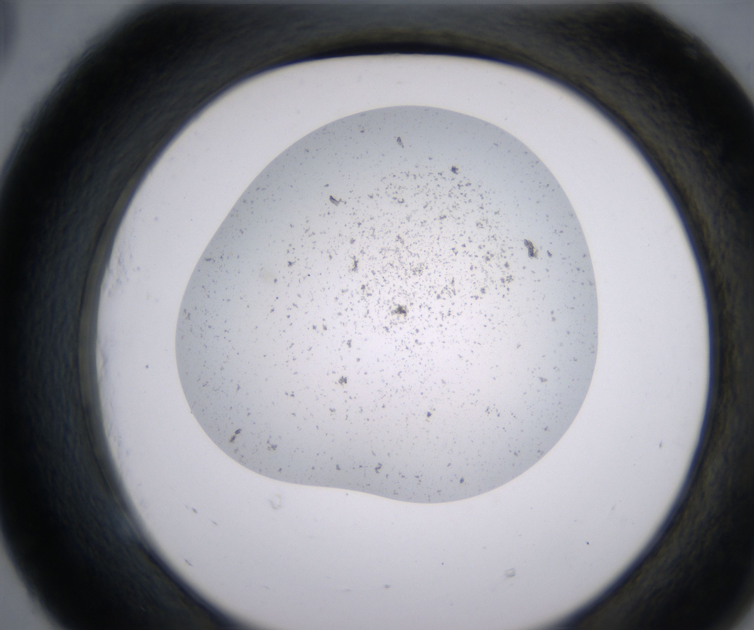 E5_HighResolution_Precipitate_2.jpg