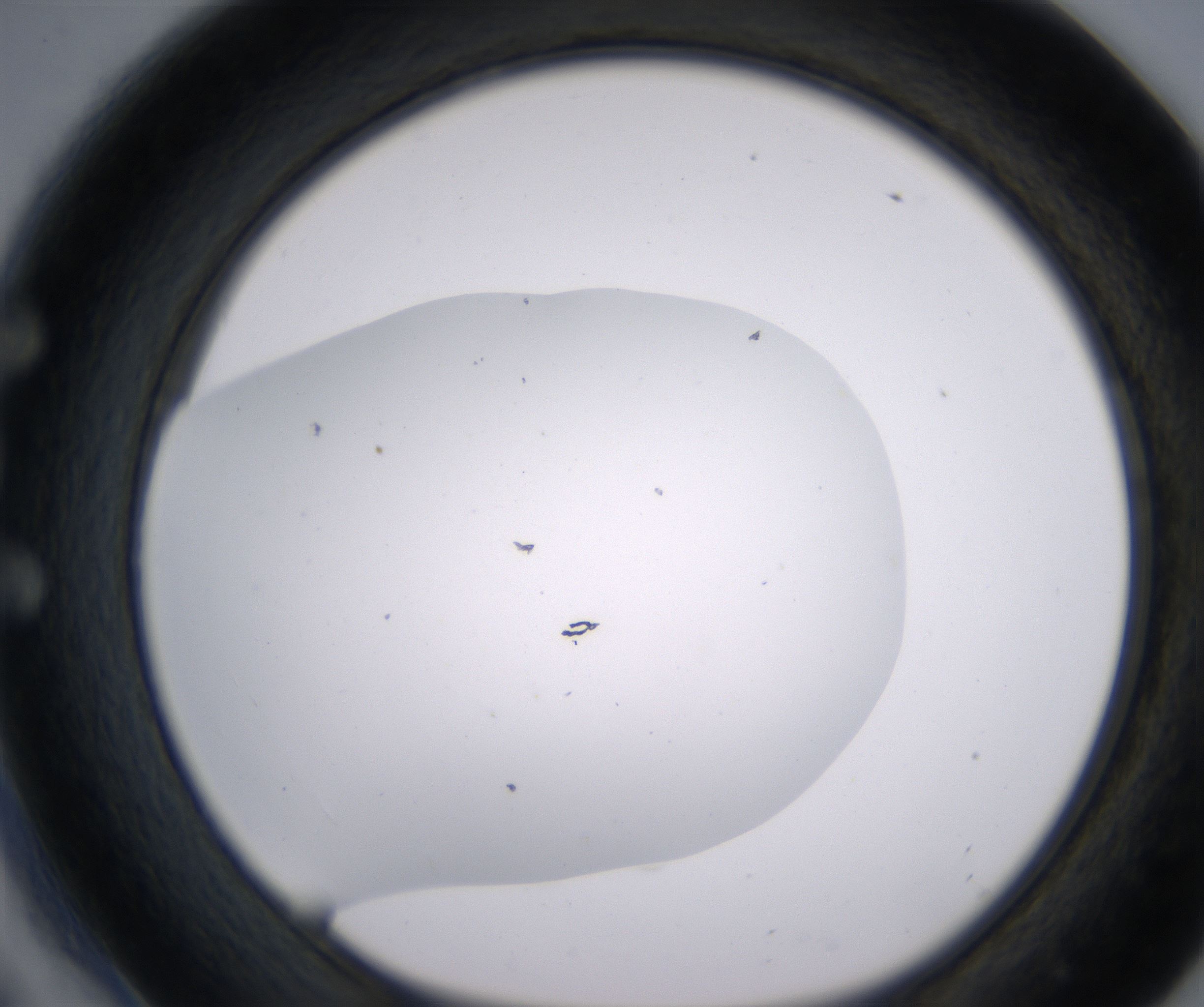 E6_HighResolution_Clear_1.jpg