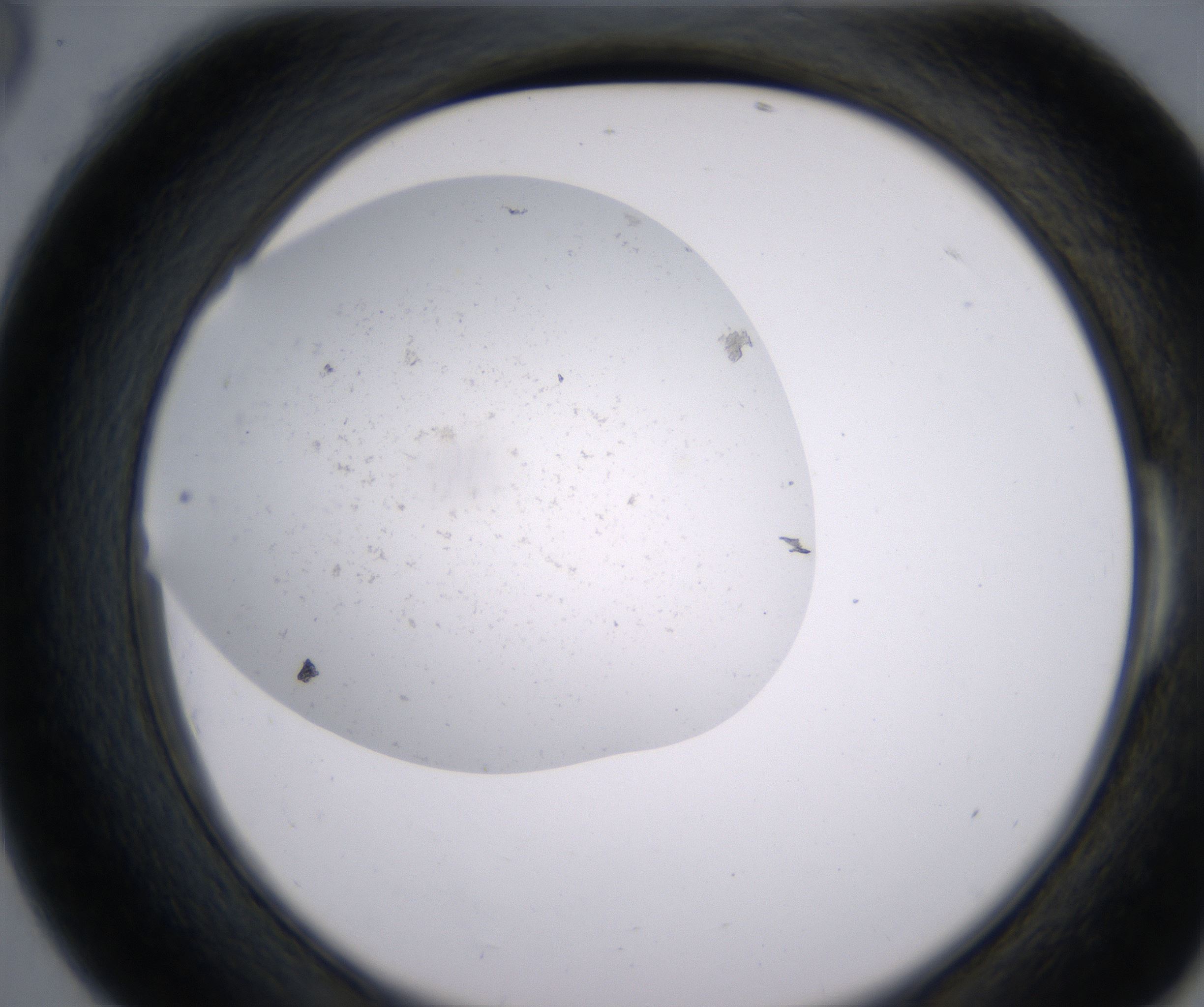 E6_HighResolution_Precipitate_2.jpg