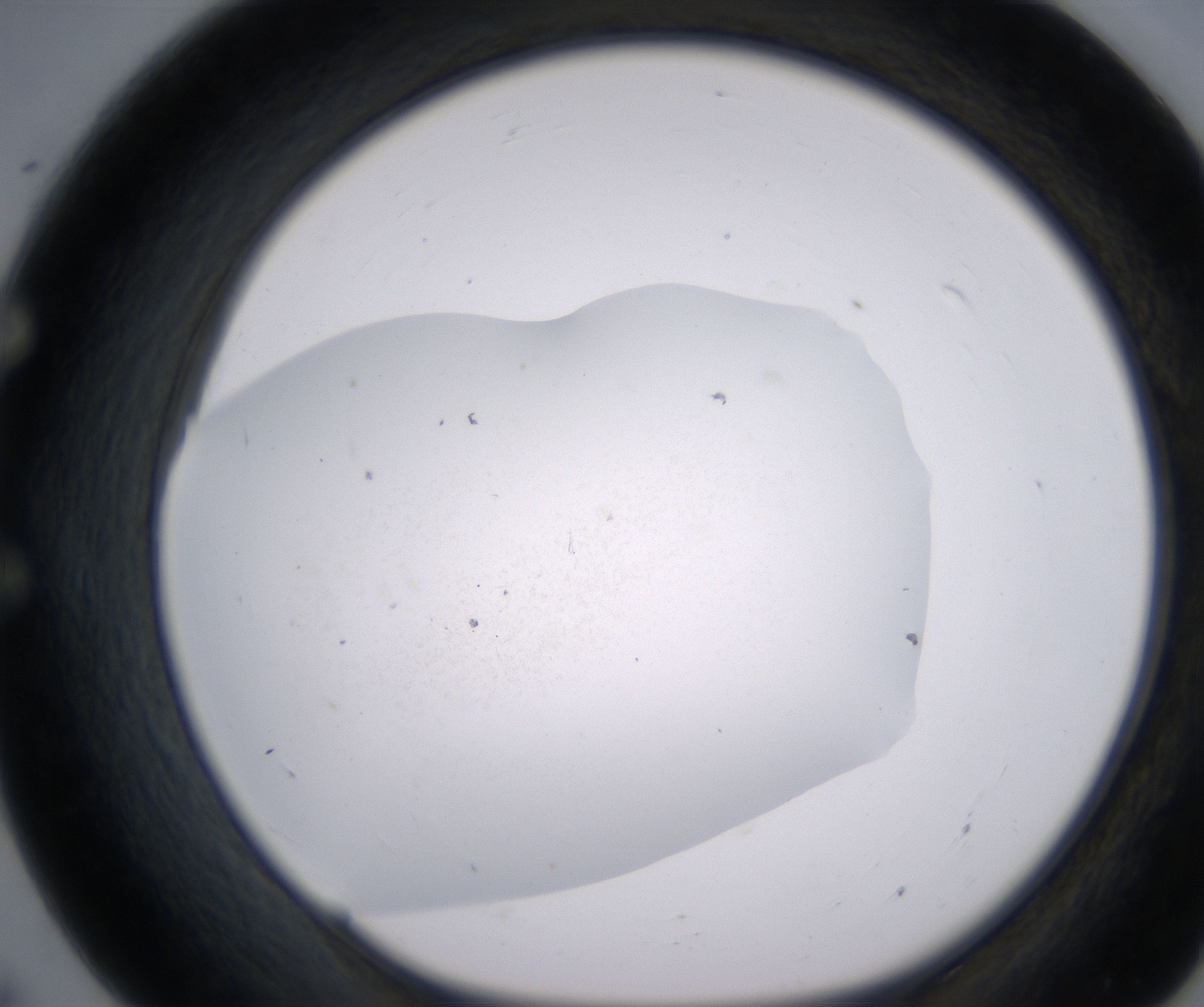 E7_HighResolution_Precipitate_1.jpg