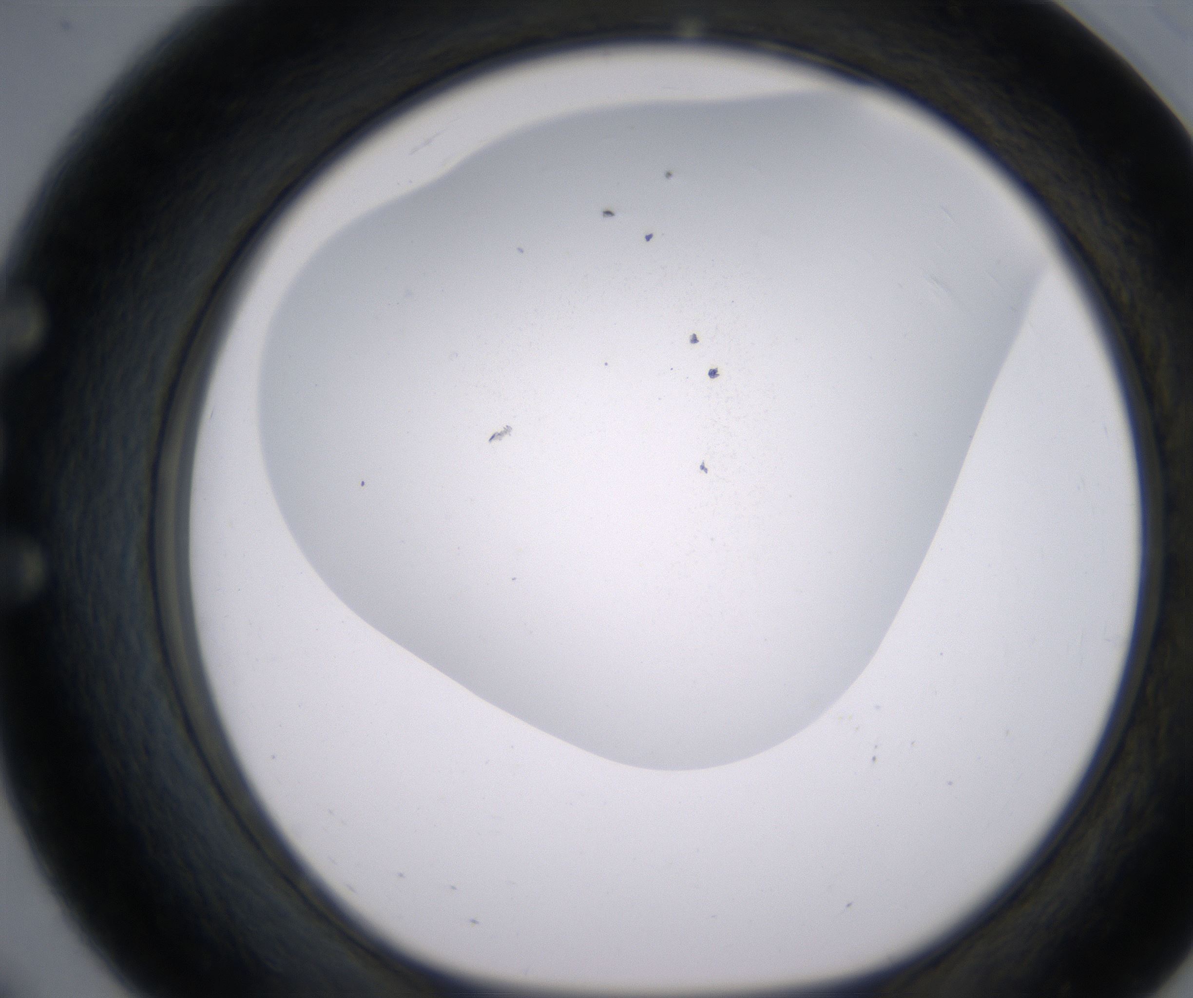 E8_HighResolution_Clear_1.jpg