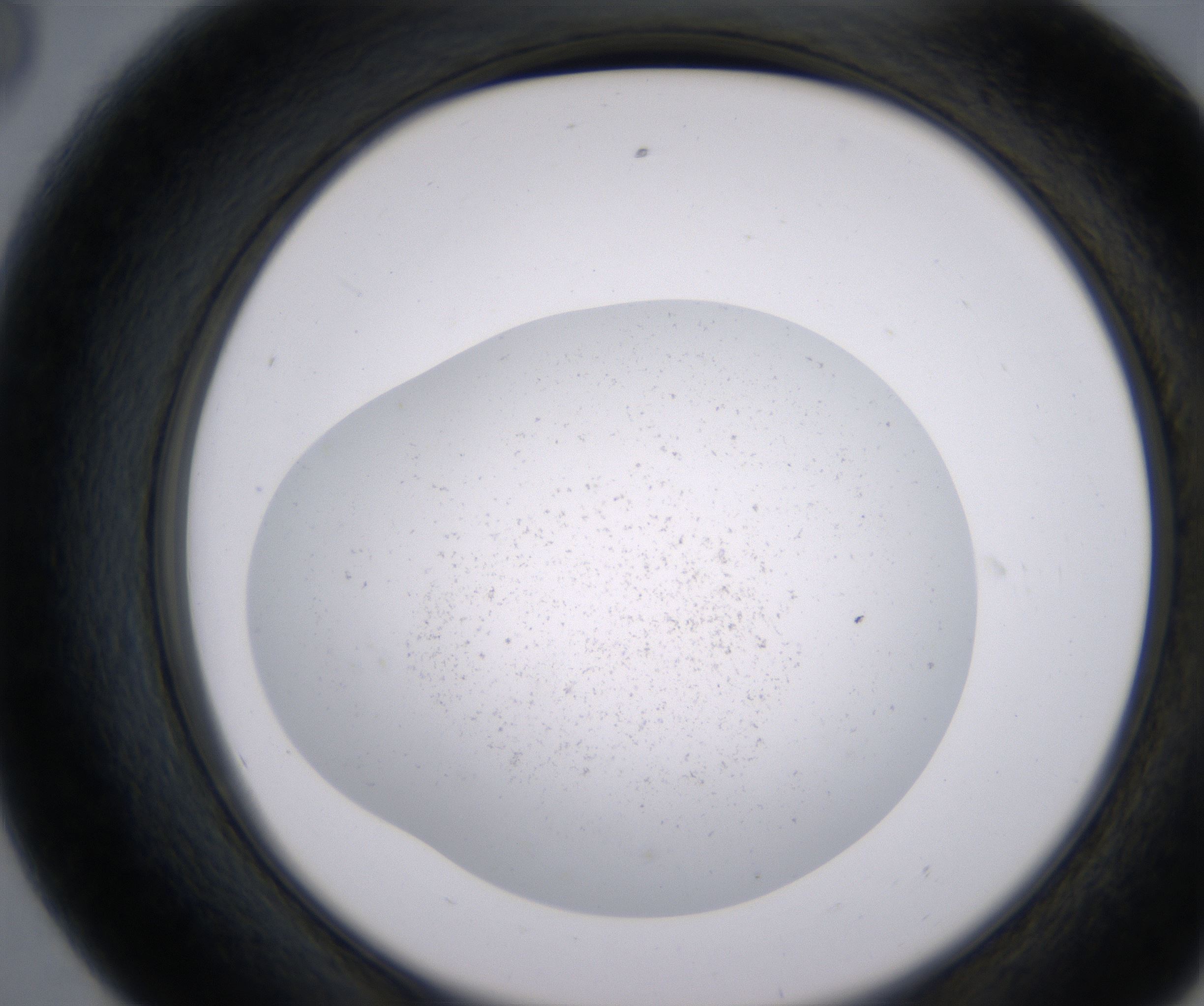 E8_HighResolution_Precipitate_2.jpg