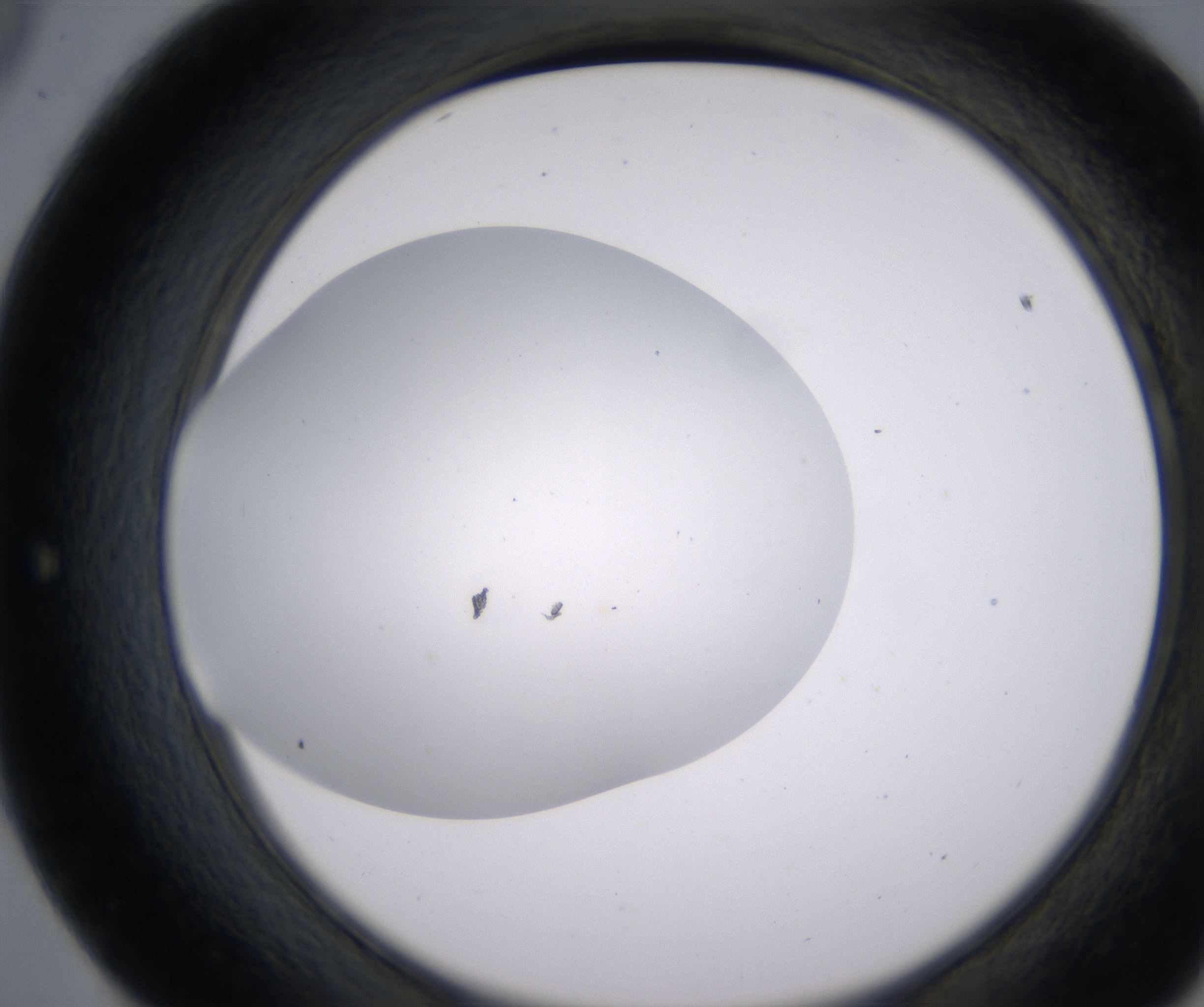 E9_HighResolution_Clear_2.jpg