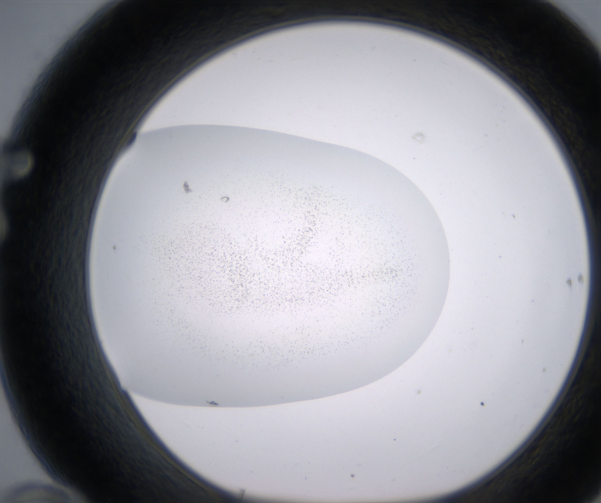 F10_HighResolution_Precipitate_1.jpg