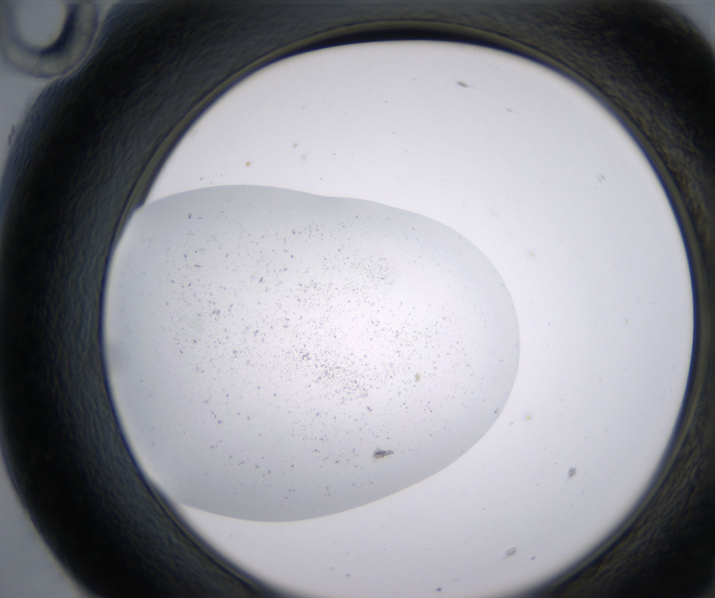 F10_HighResolution_Precipitate_2.jpg