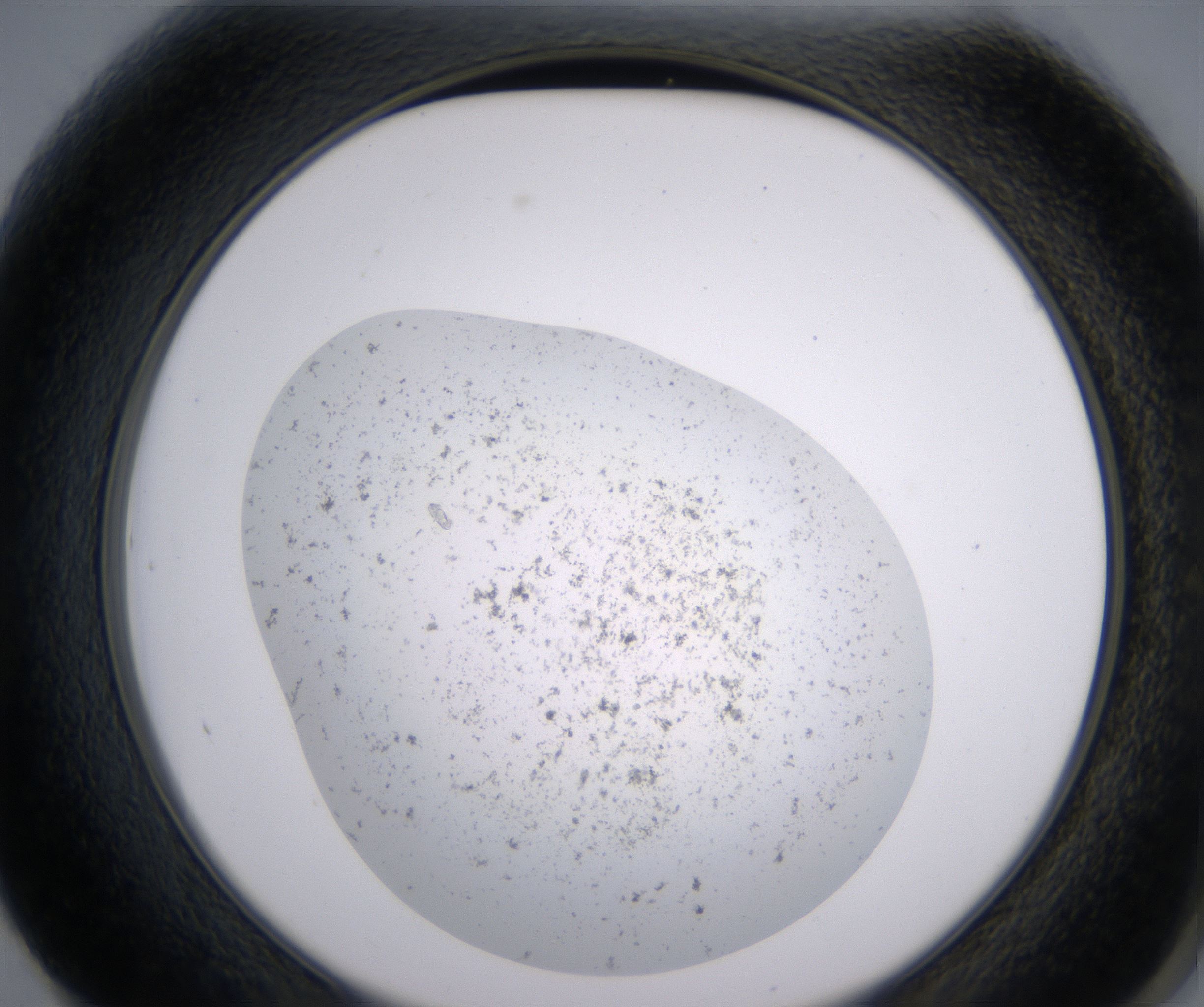 F1_HighResolution_Precipitate_2.jpg