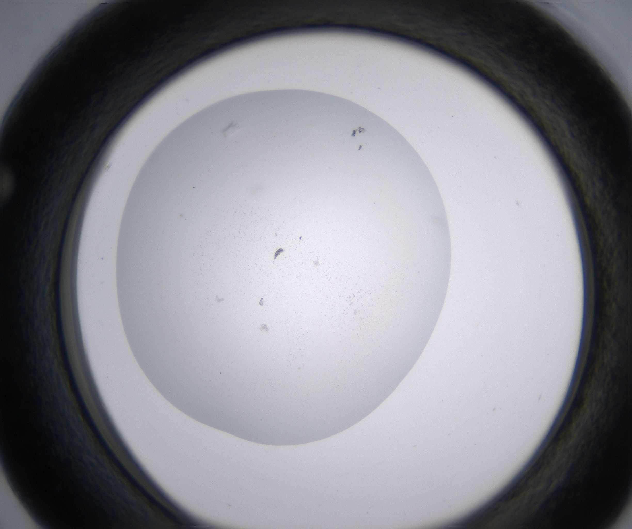 F3_HighResolution_Precipitate_1.jpg