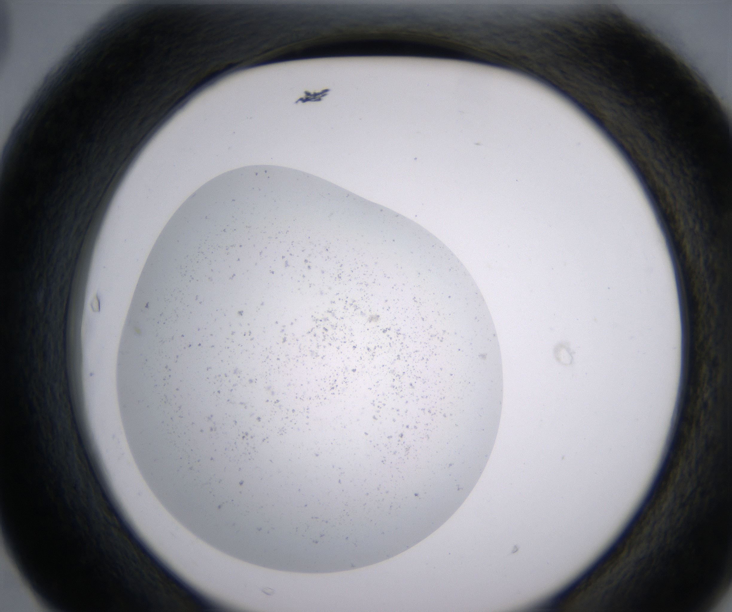 F3_HighResolution_Precipitate_2.jpg