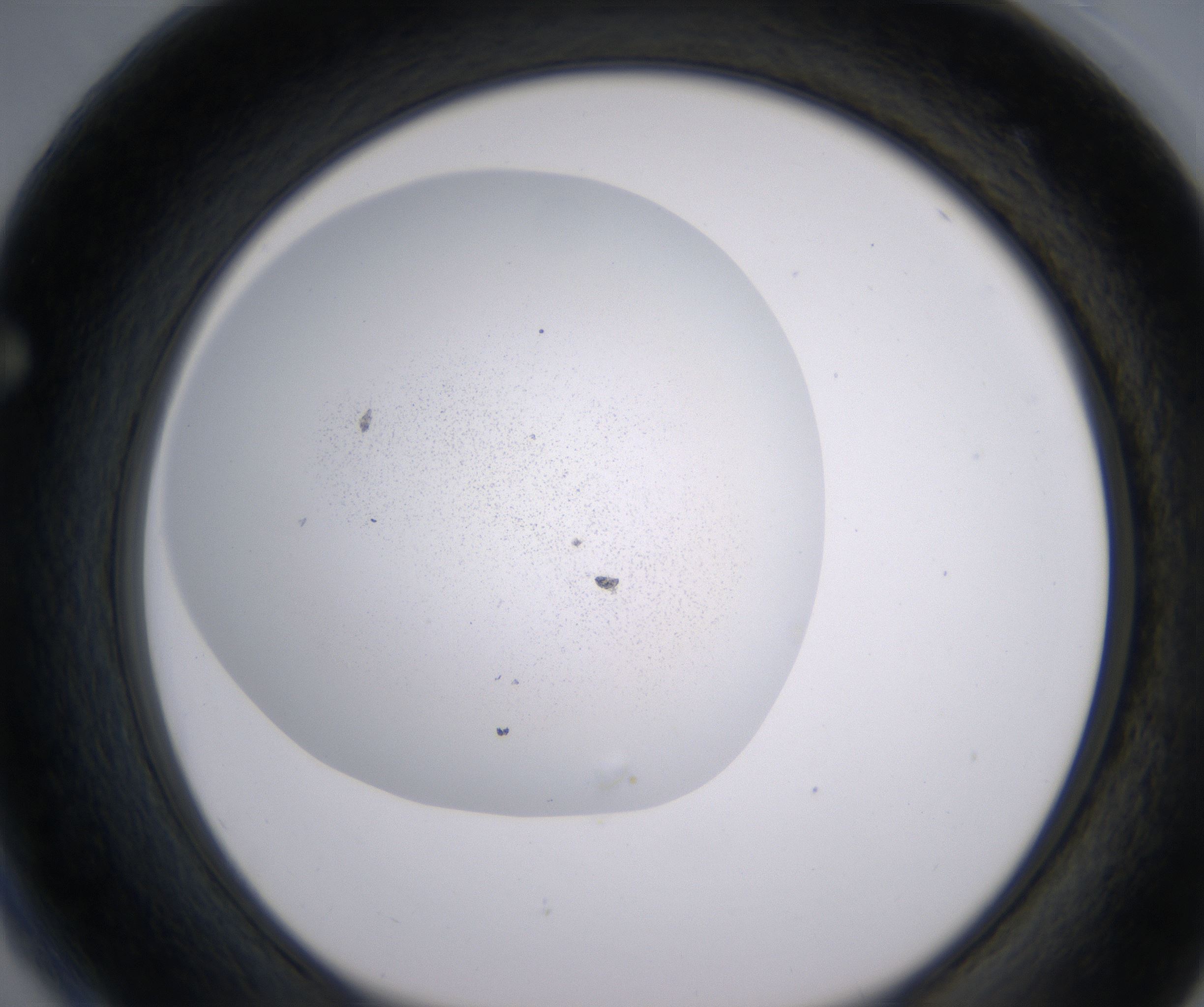 F4_HighResolution_Precipitate_1.jpg