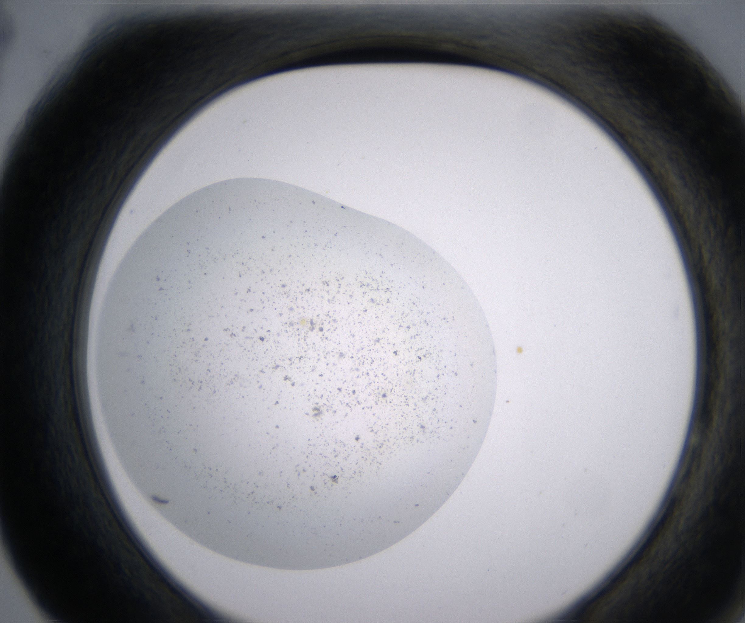 F4_HighResolution_Precipitate_2.jpg