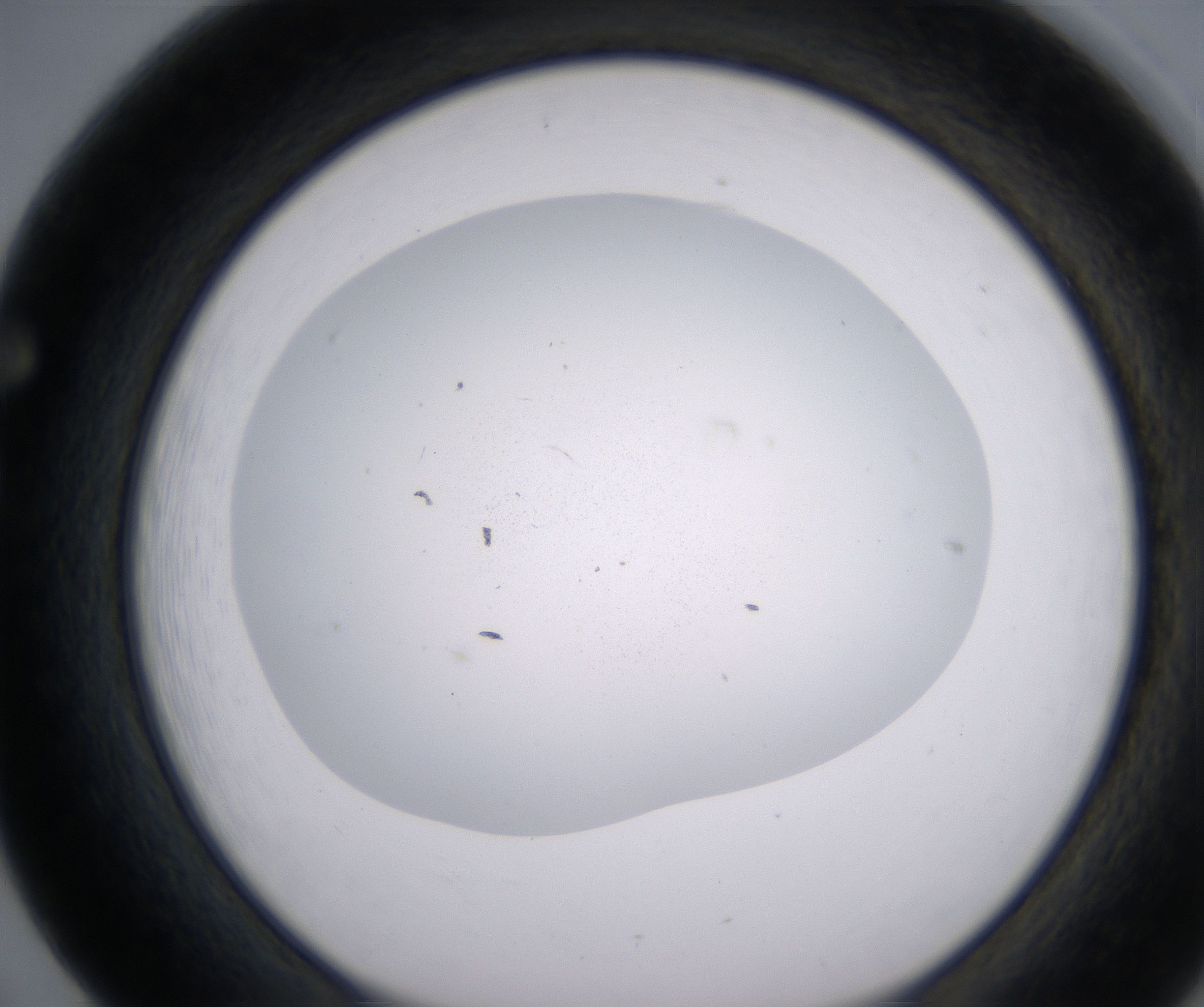 F5_HighResolution_Precipitate_1.jpg