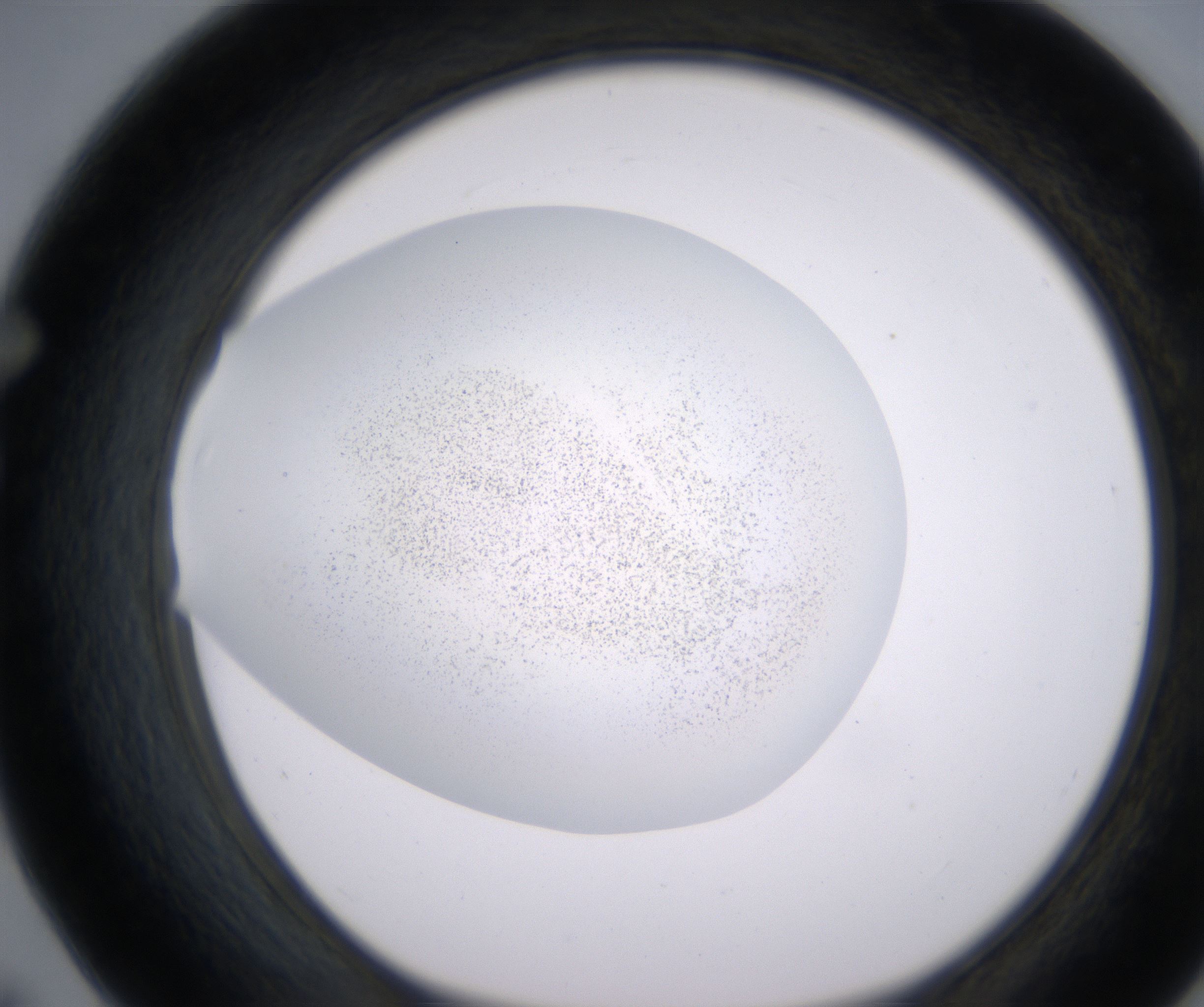 F7_HighResolution_Precipitate_1.jpg