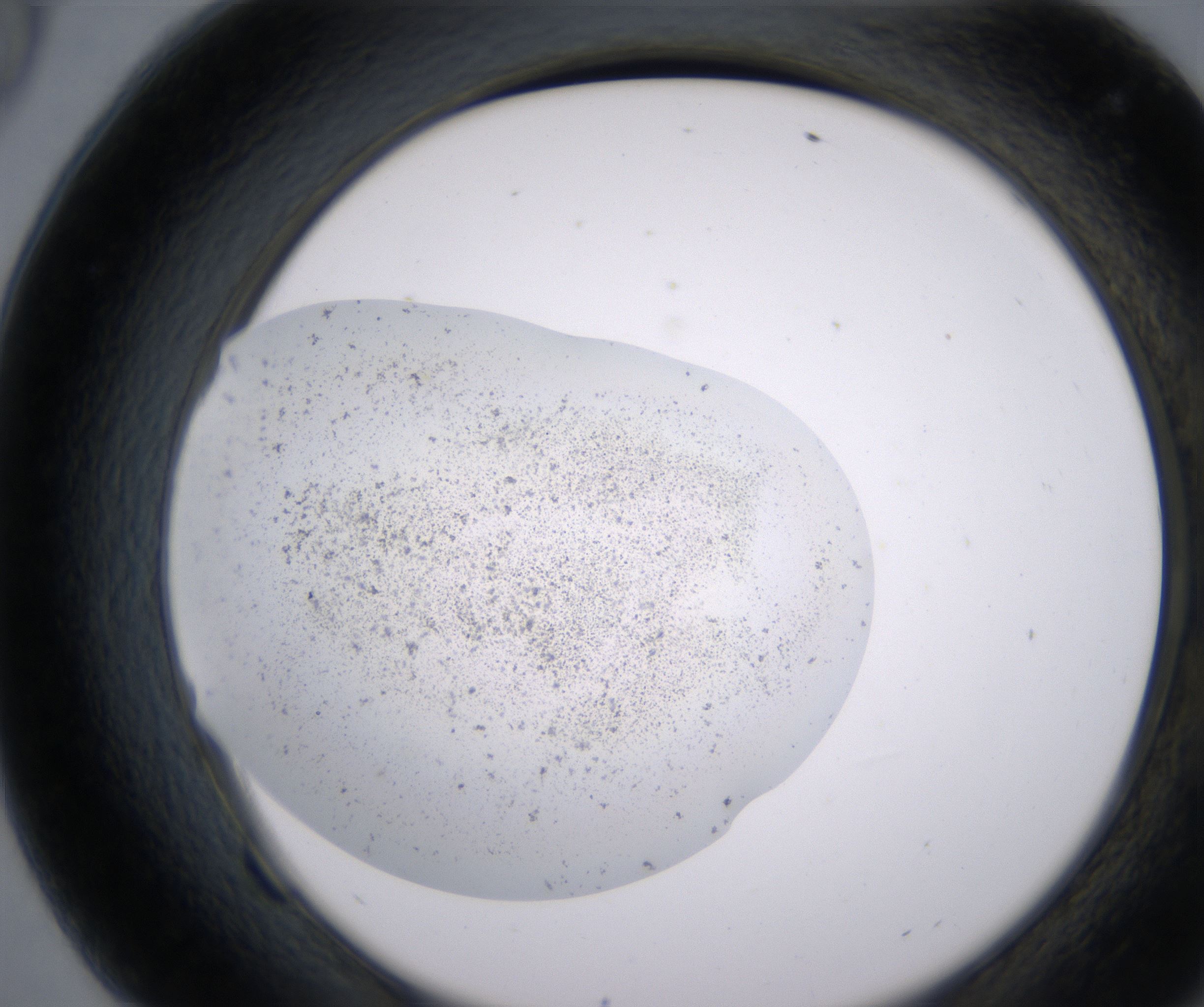F9_HighResolution_Precipitate_2.jpg