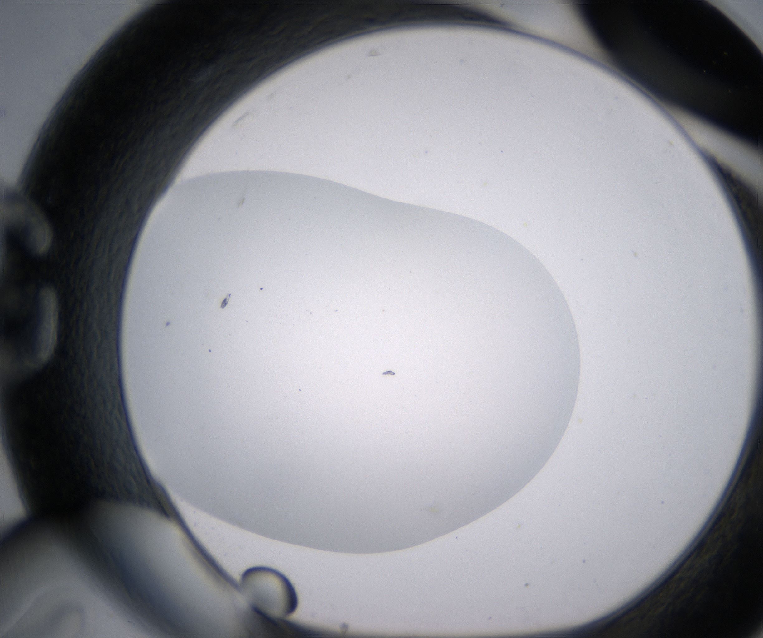 G11_HighResolution_Clear_1.jpg