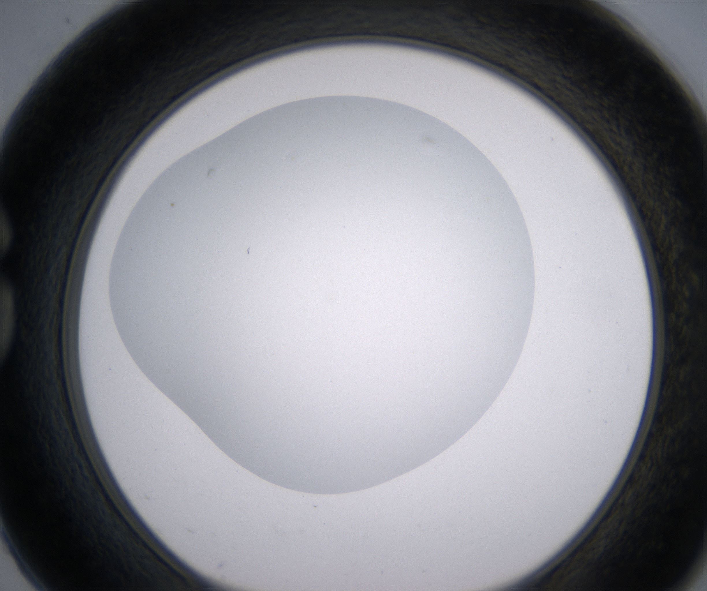 G2_HighResolution_Clear_1.jpg