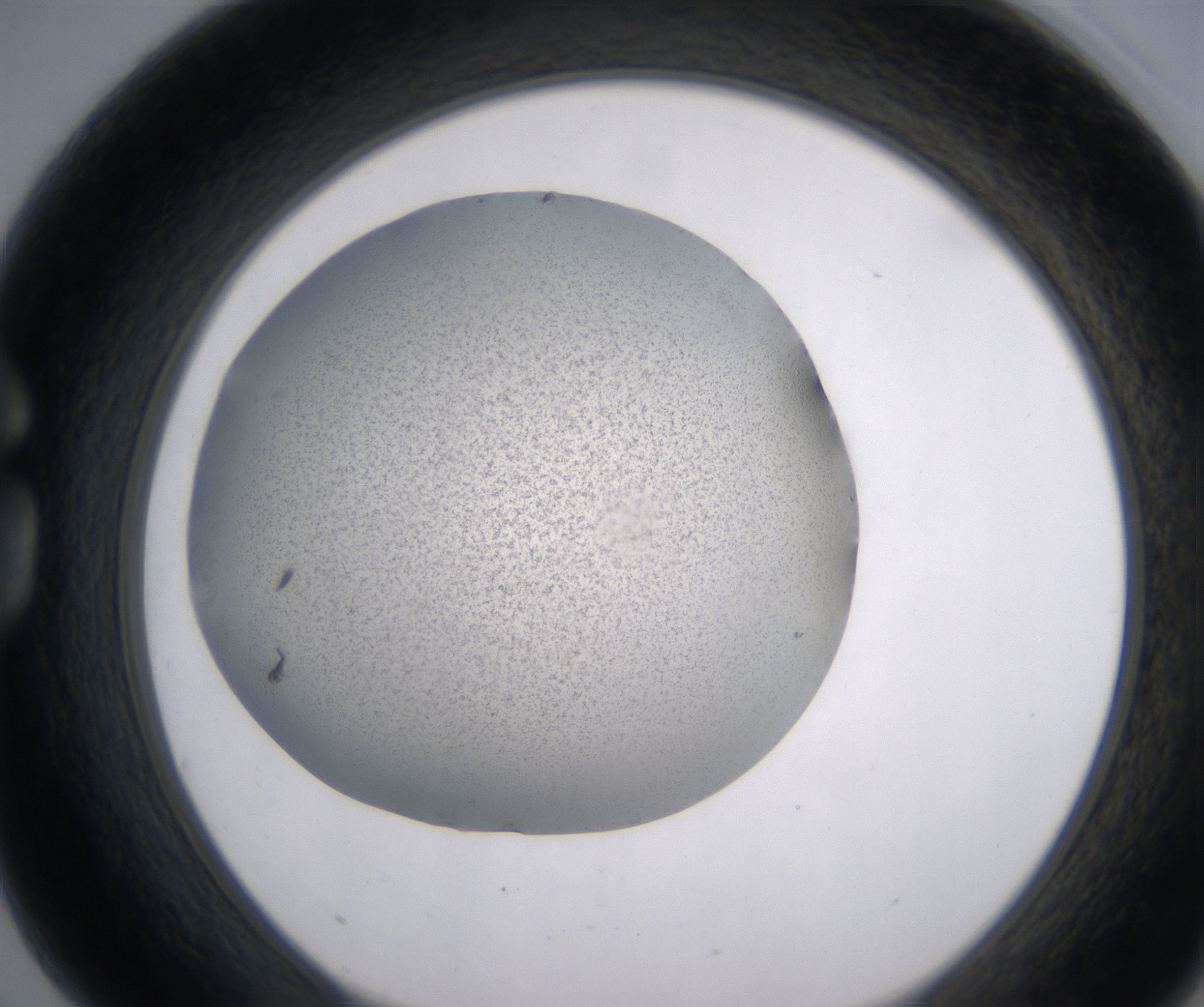 G3_HighResolution_Precipitate_1.jpg