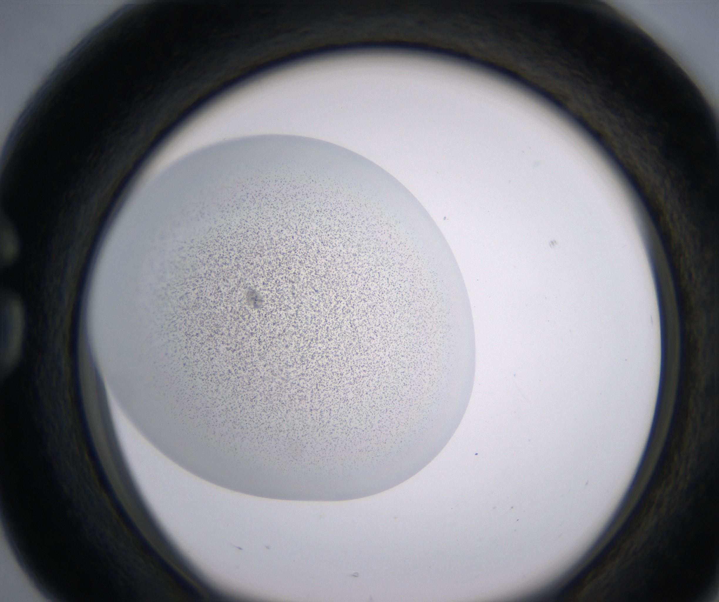 G4_HighResolution_Precipitate_1.jpg