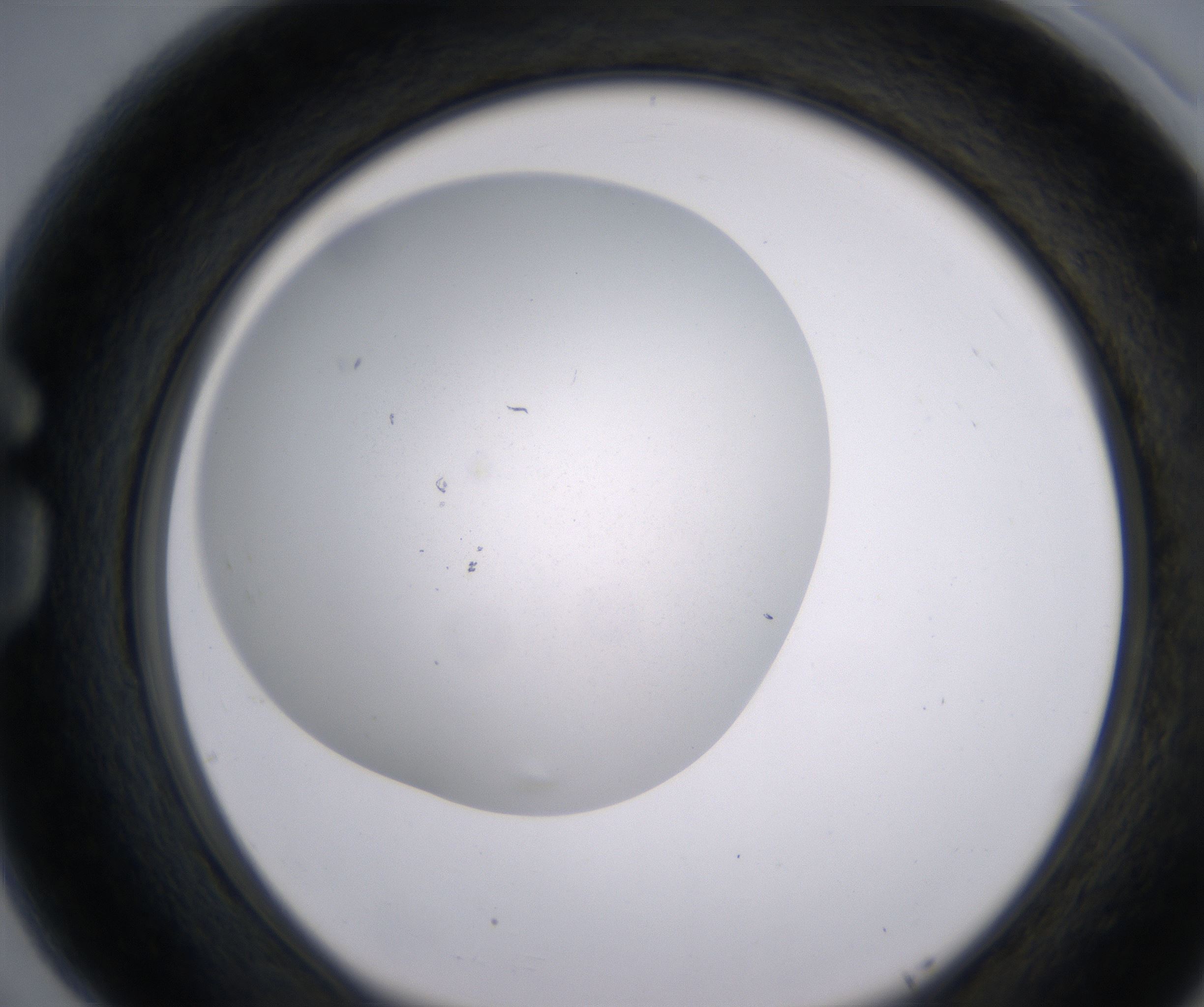 G5_HighResolution_Clear_1.jpg
