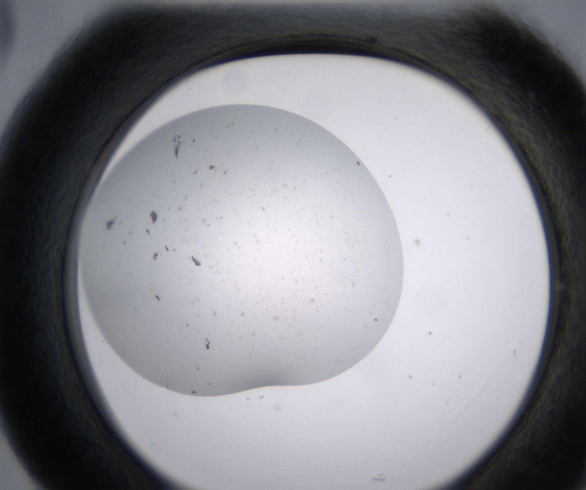 G5_HighResolution_Precipitate_2.jpg