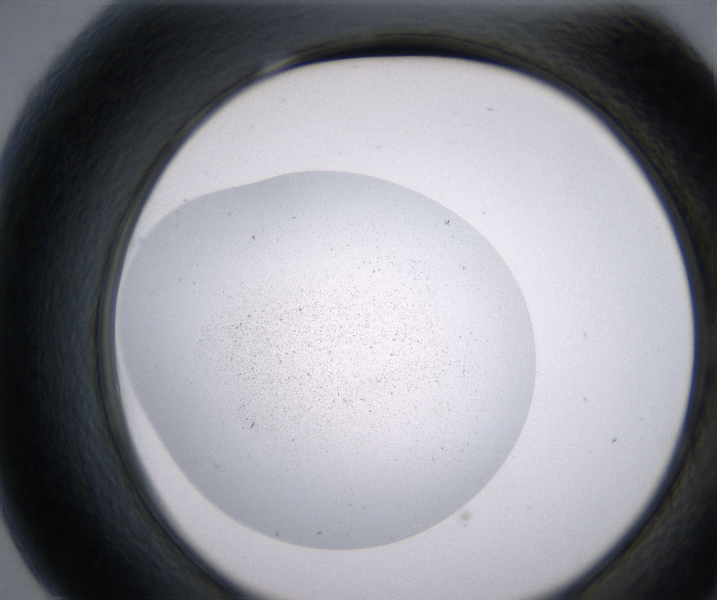 G7_HighResolution_Precipitate_2.jpg