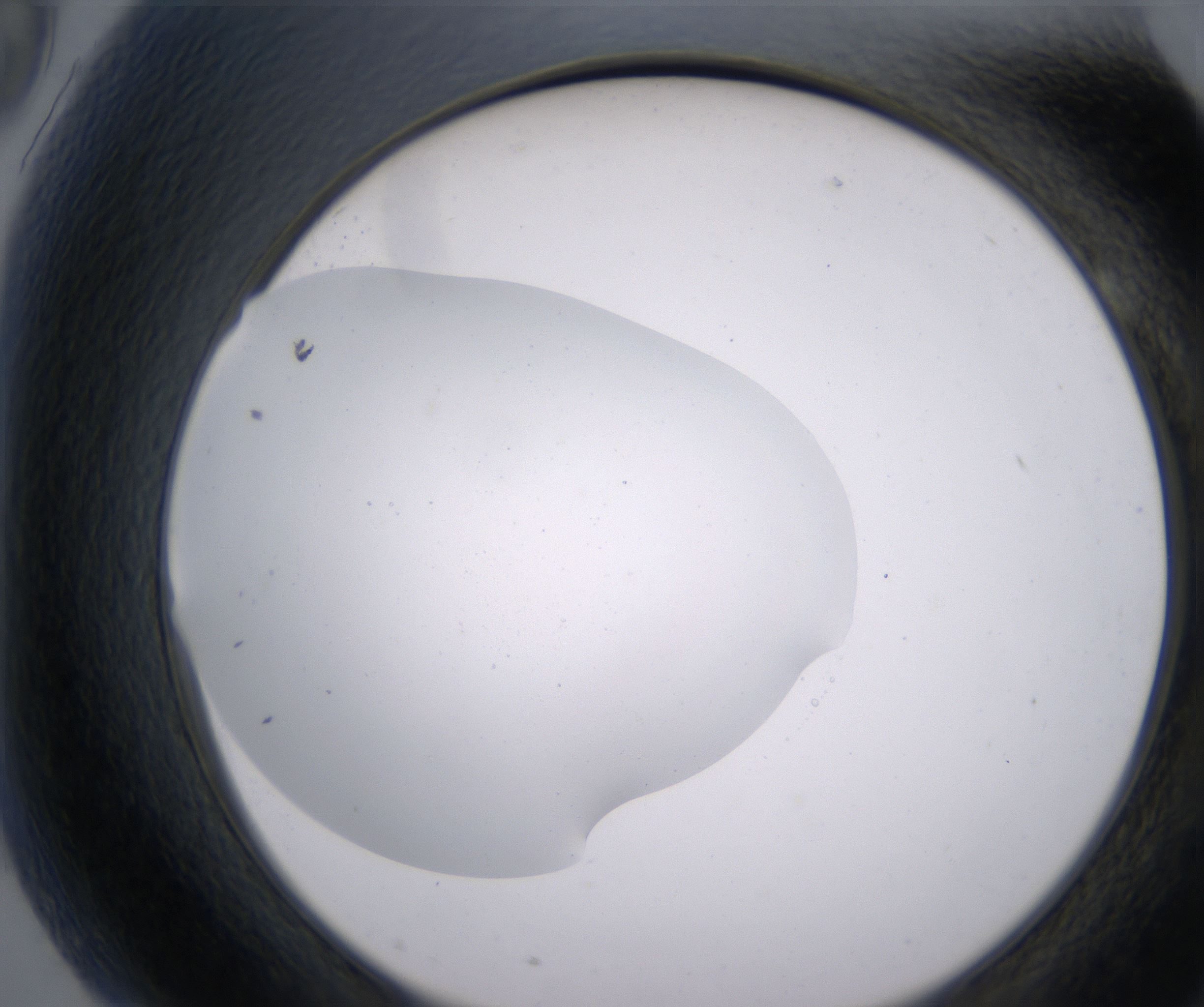 G9_HighResolution_Clear_2.jpg