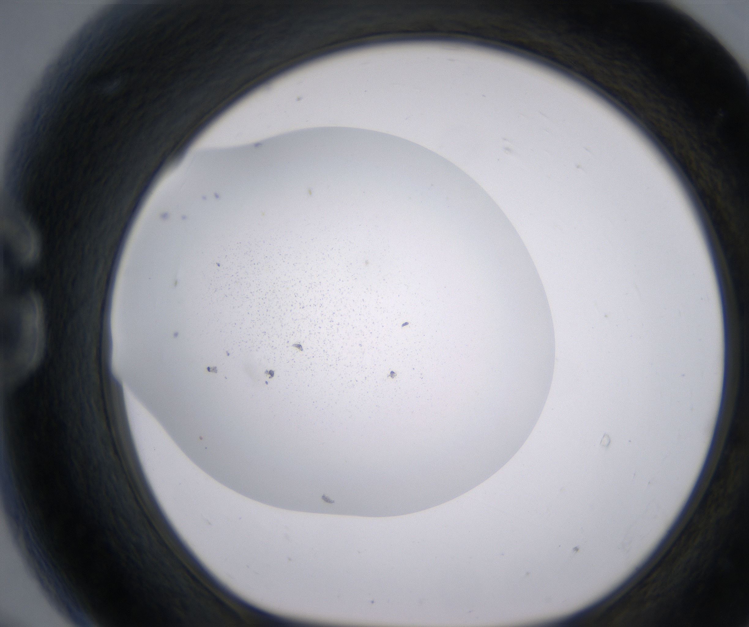G9_HighResolution_Precipitate_1.jpg