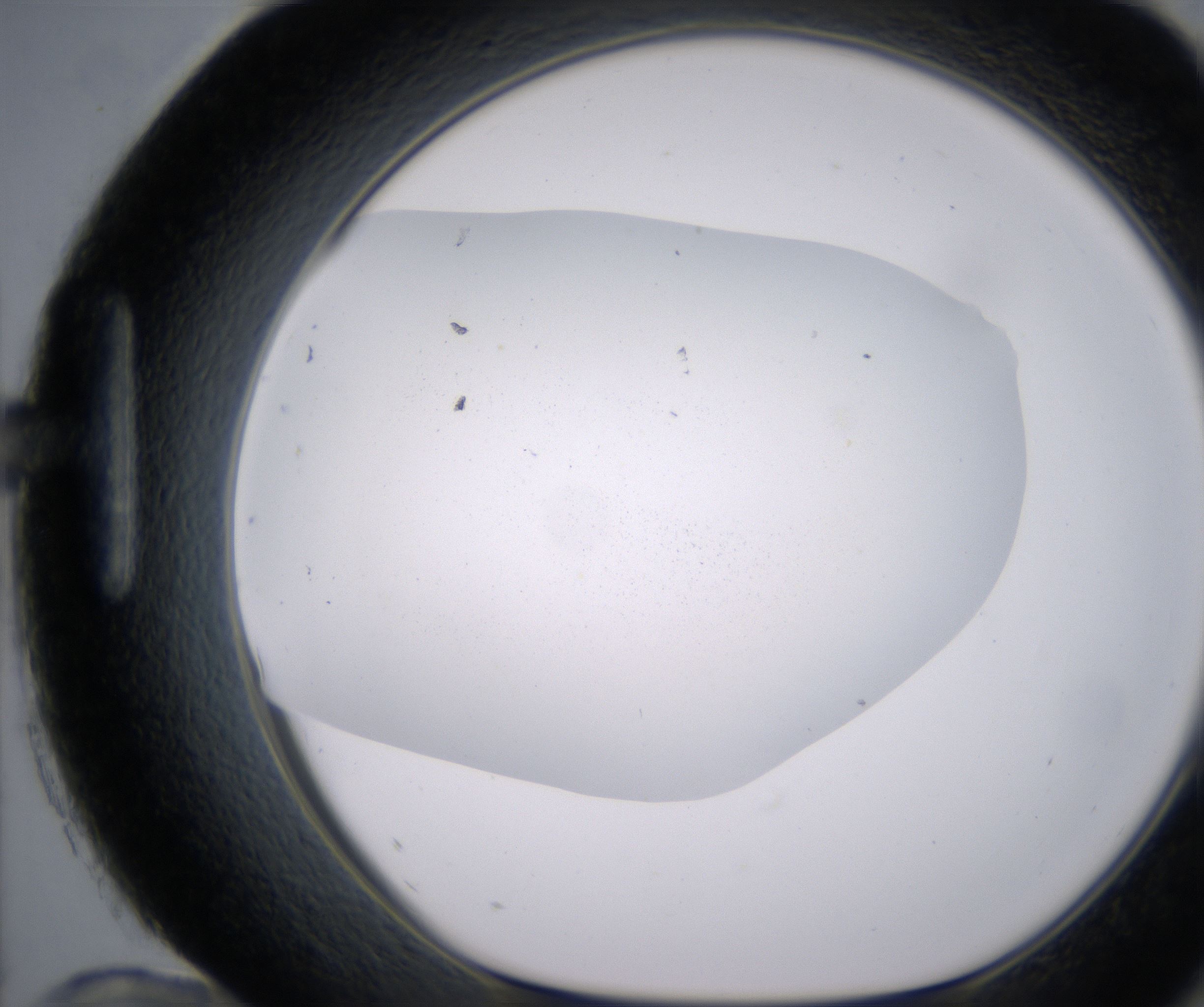 H12_HighResolution_Precipitate_1.jpg