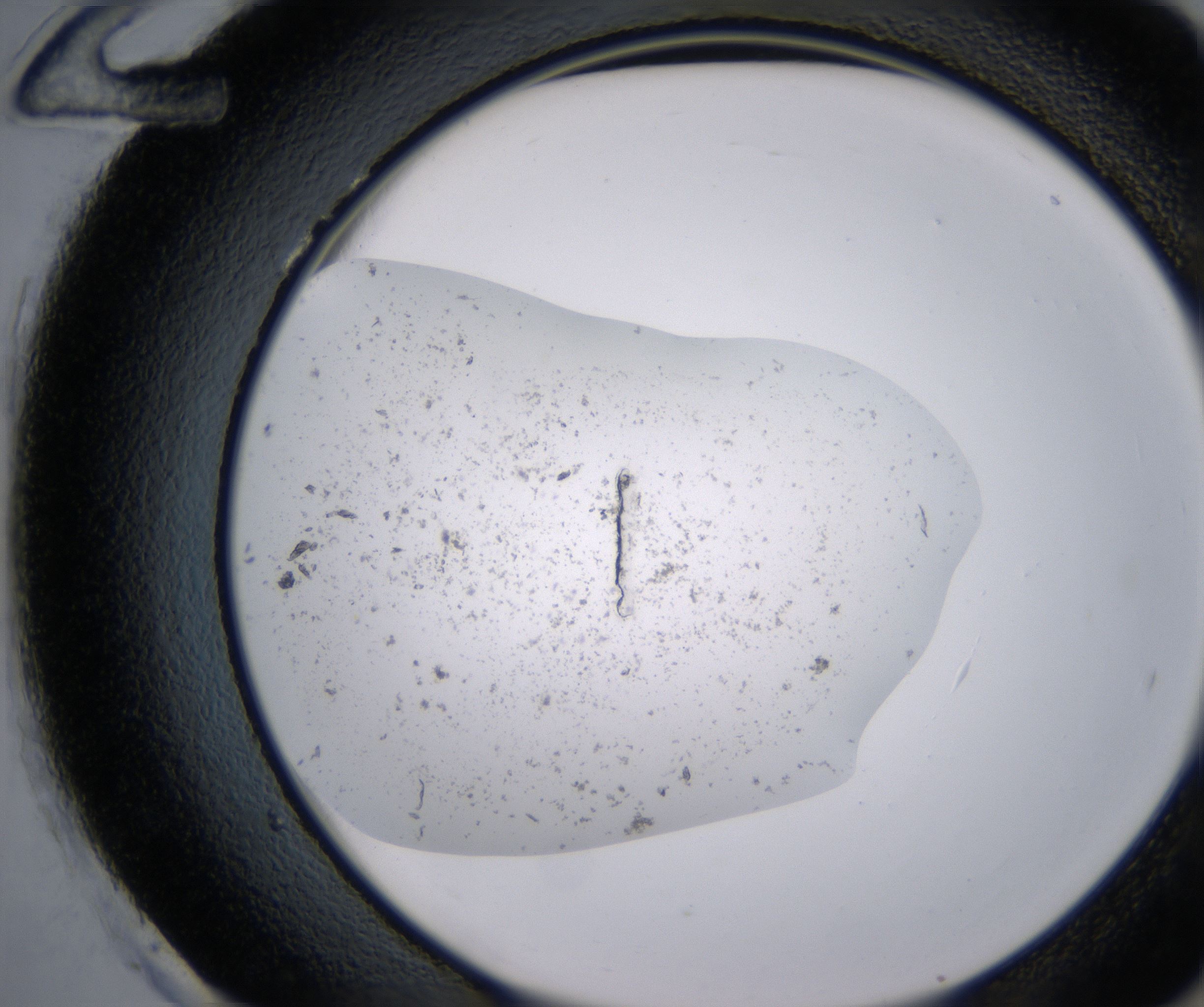 H12_HighResolution_Precipitate_2.jpg