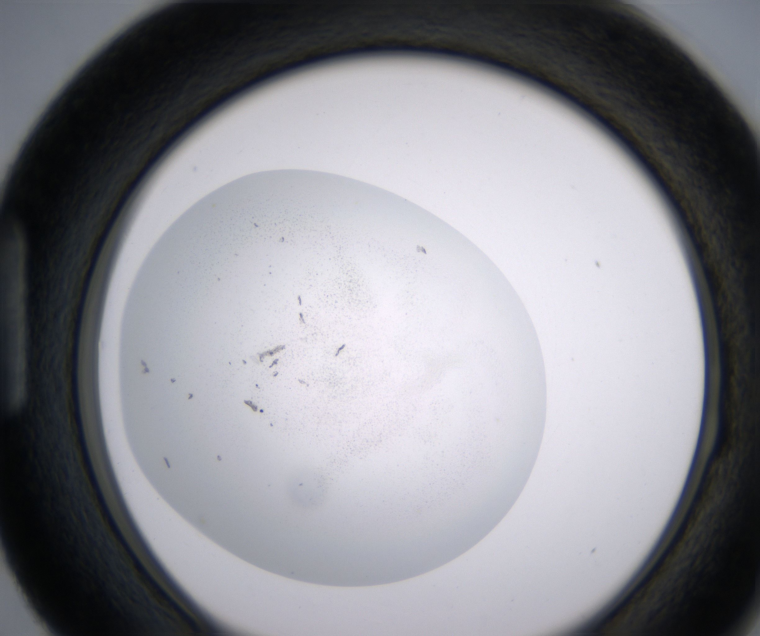 H3_HighResolution_Precipitate_1.jpg