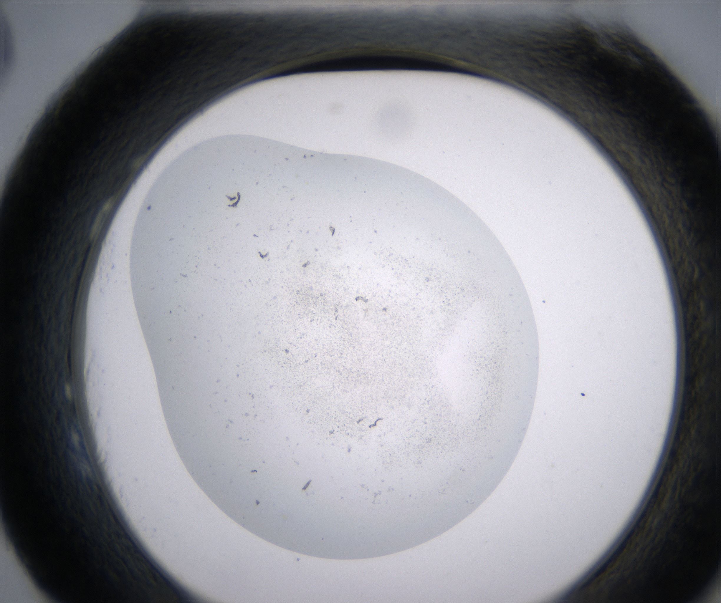 H3_HighResolution_Precipitate_2.jpg