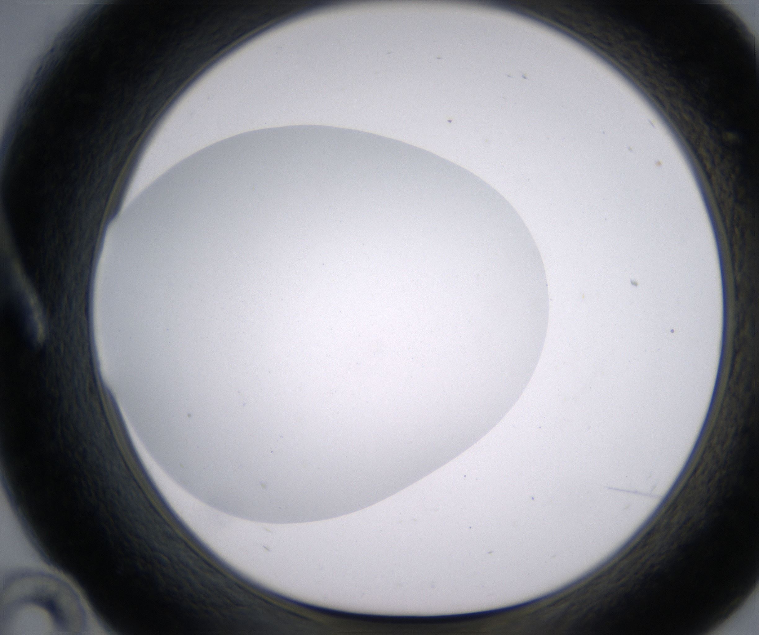 A10_HighResolution_Clear_1.jpg