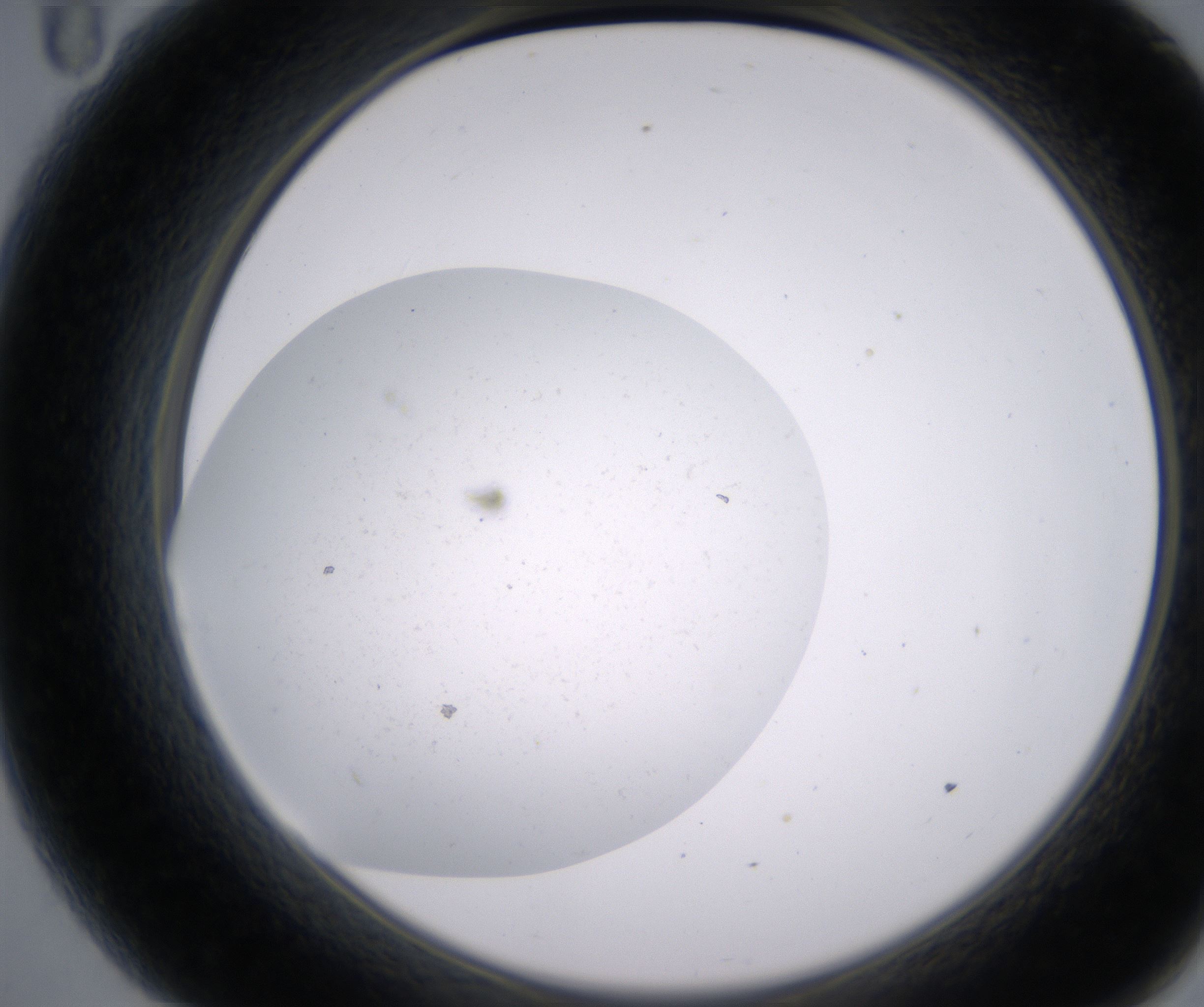 A11_HighResolution_Precipitate_2.jpg
