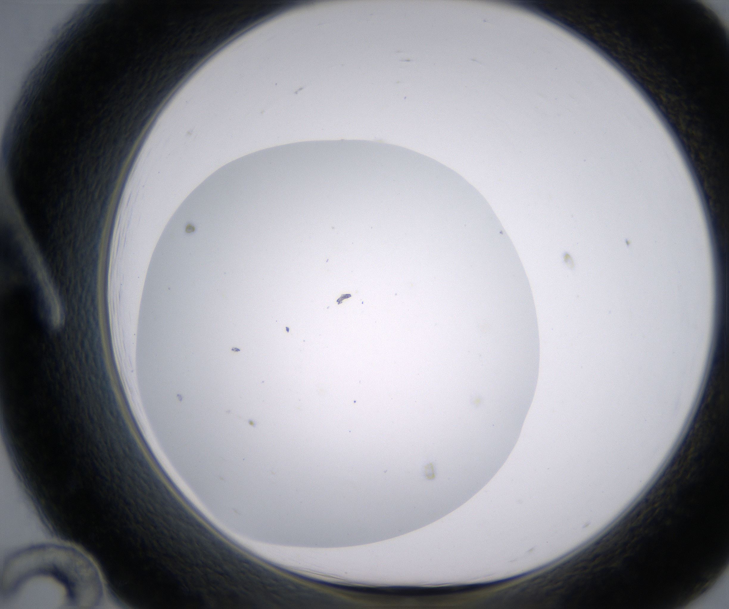 A12_HighResolution_Clear_1.jpg